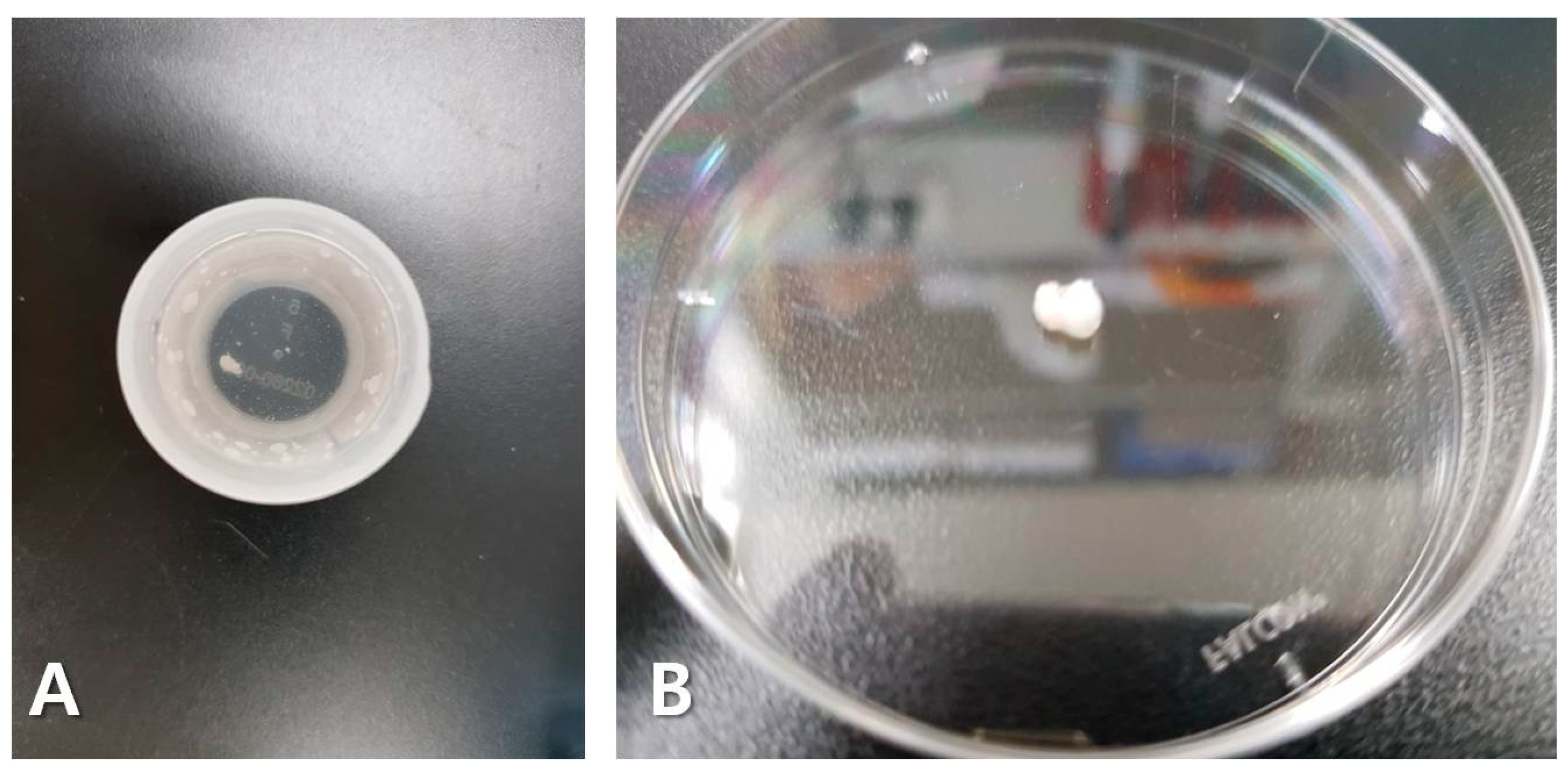 Diagnostics 10 00300 g003 Diagnostics 10 00300 g003
