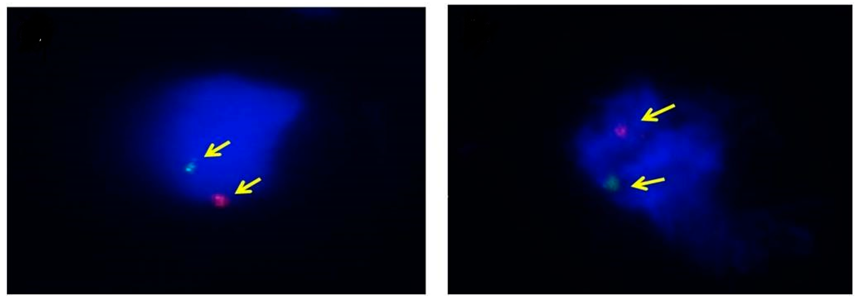 Diagnostics 10 00300 g004 Diagnostics 10 00300 g004