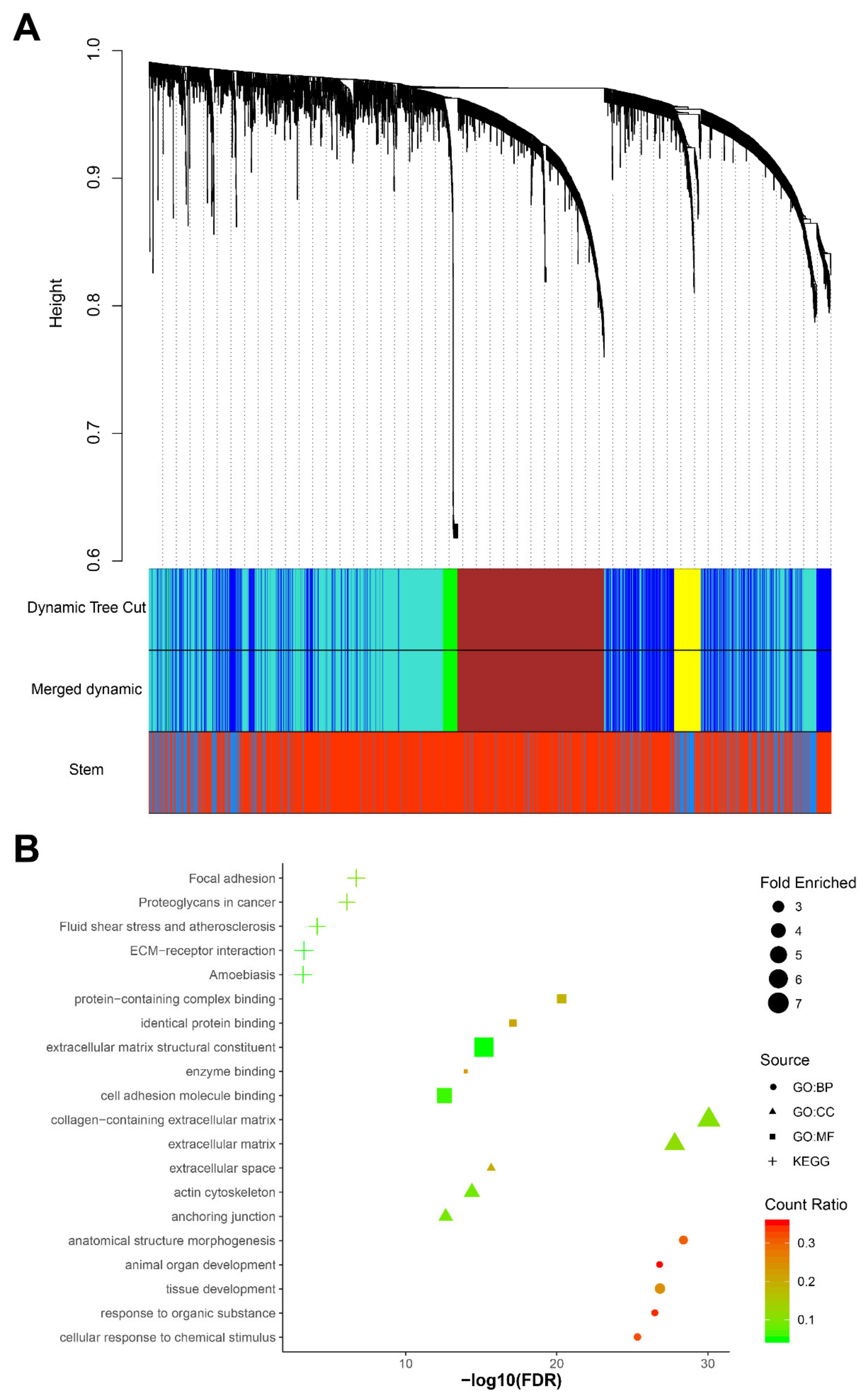 Diagnostics 10 00305 g004 Diagnostics 10 00305 g004