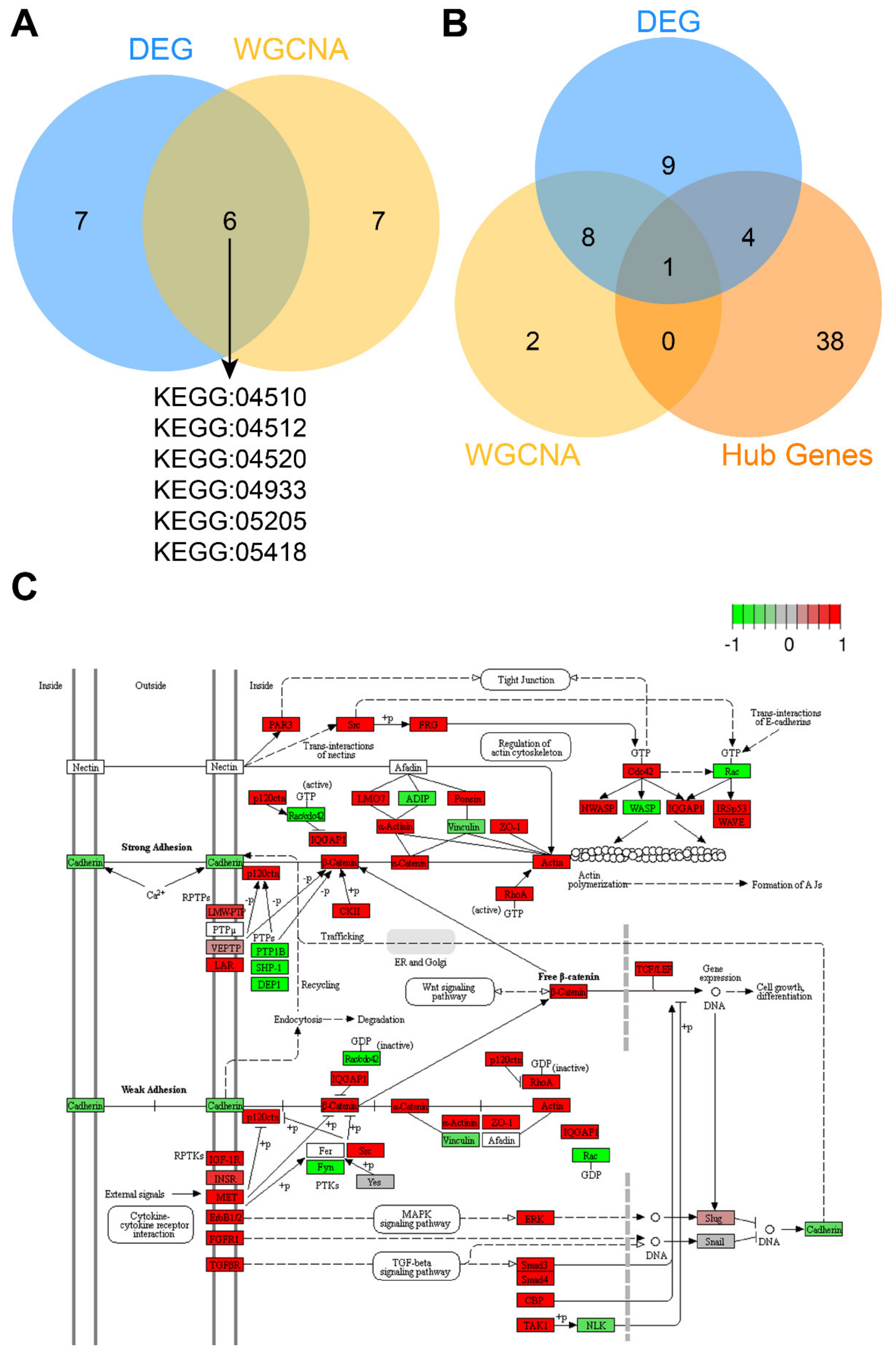 Diagnostics 10 00305 g005 Diagnostics 10 00305 g005