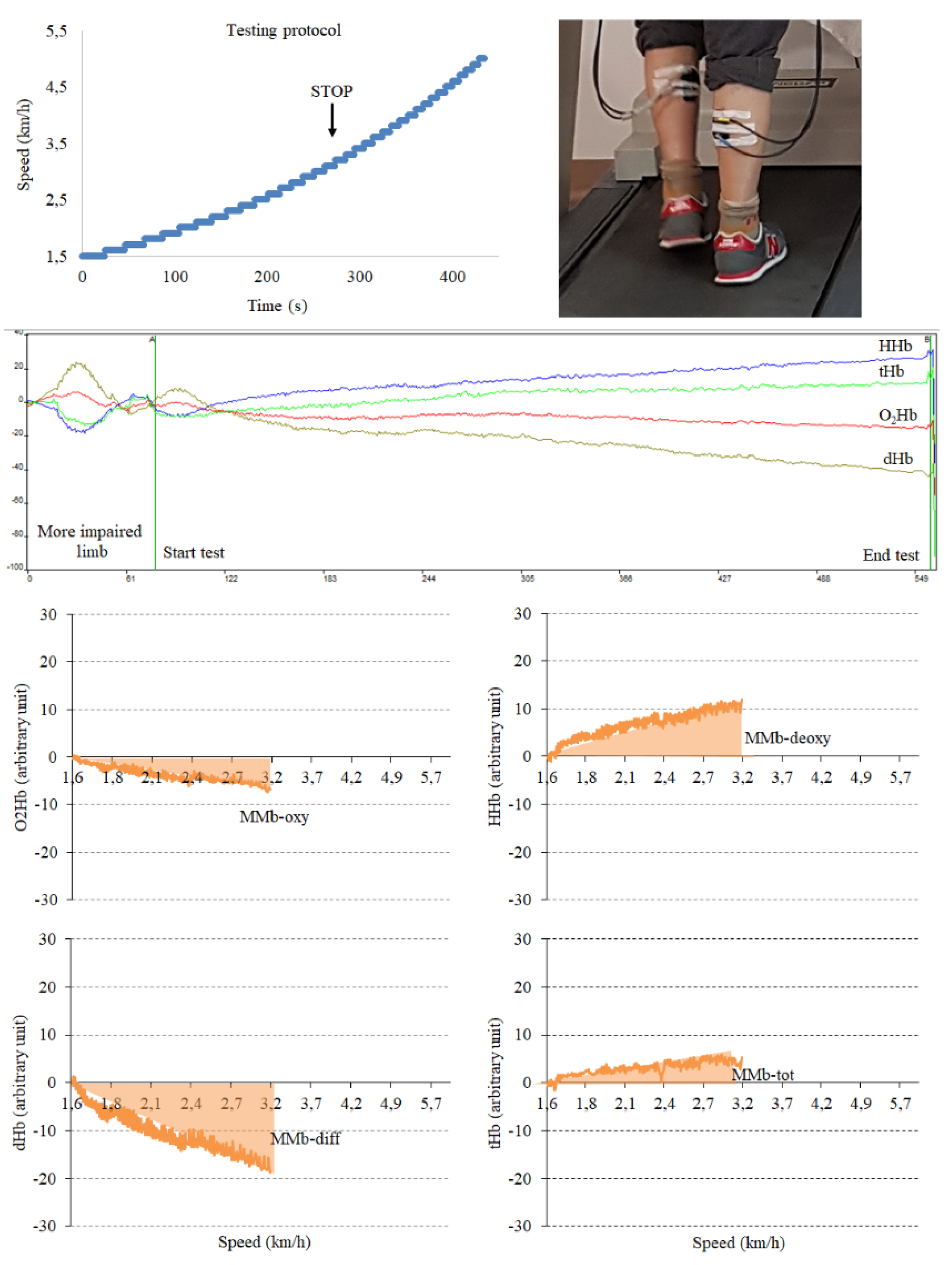 Diagnostics 10 00312 g001