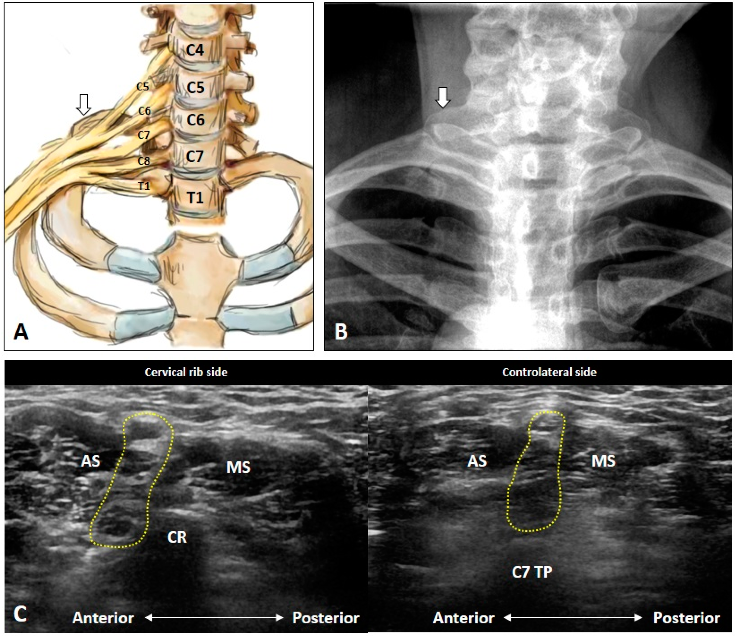 Diagnostics 10 00324 g004 Diagnostics 10 00324 g004