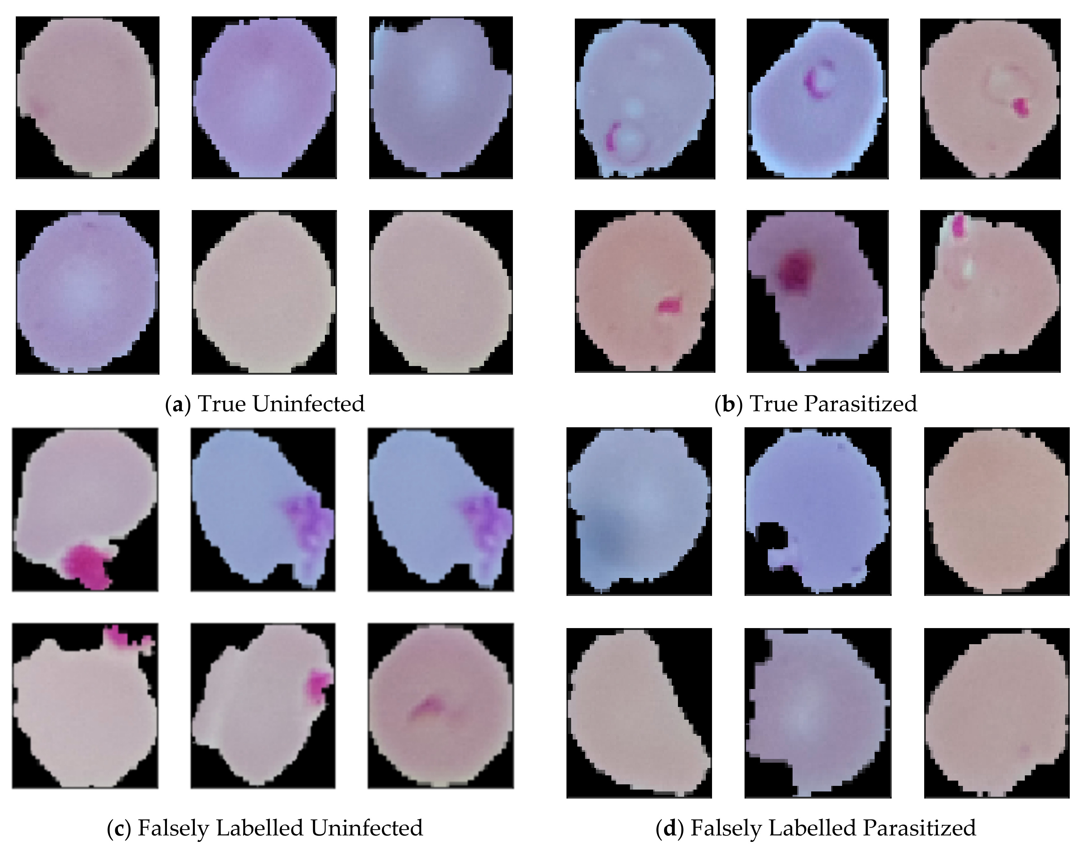 Diagnostics 10 00329 g001