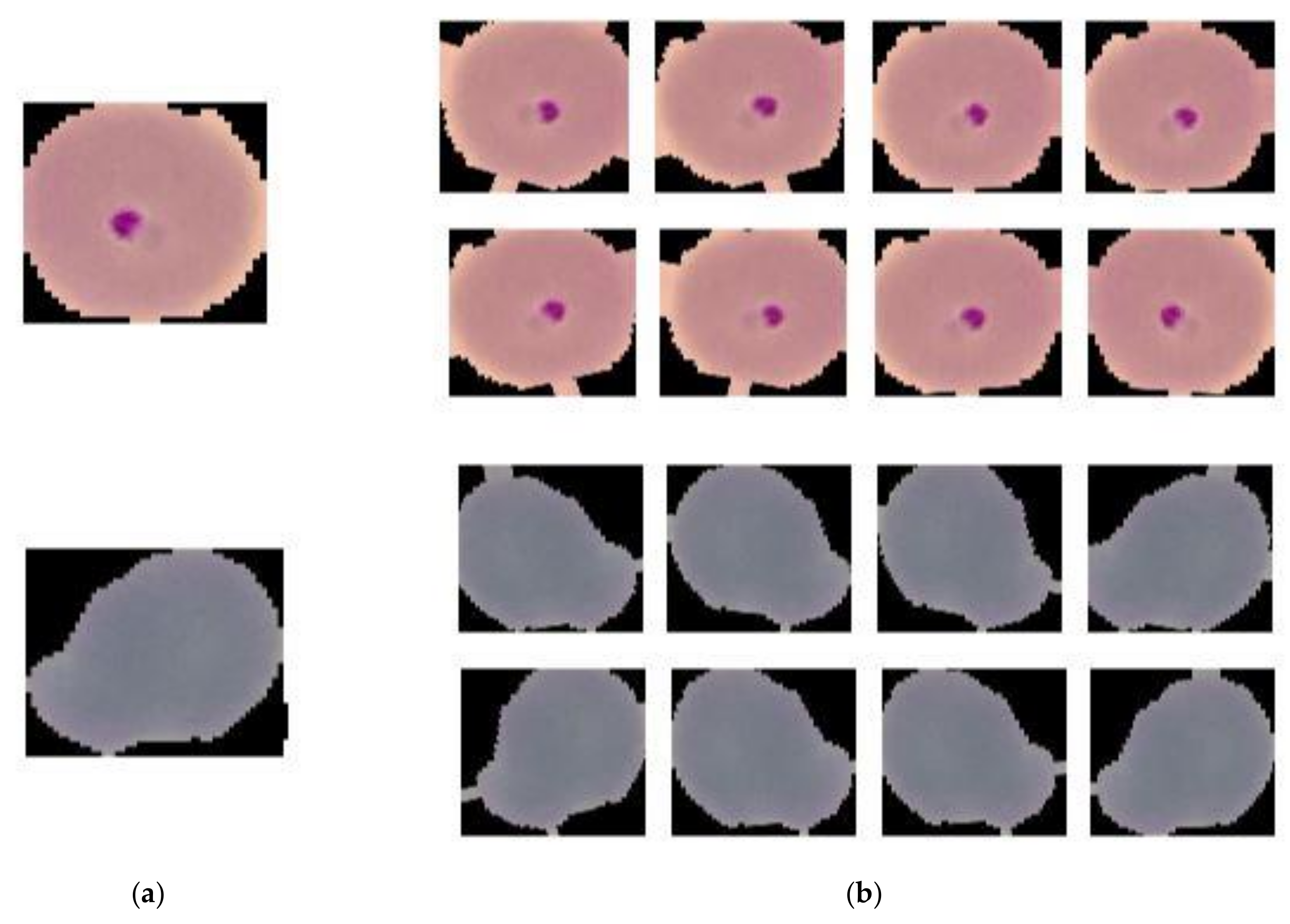 Diagnostics 10 00329 g002