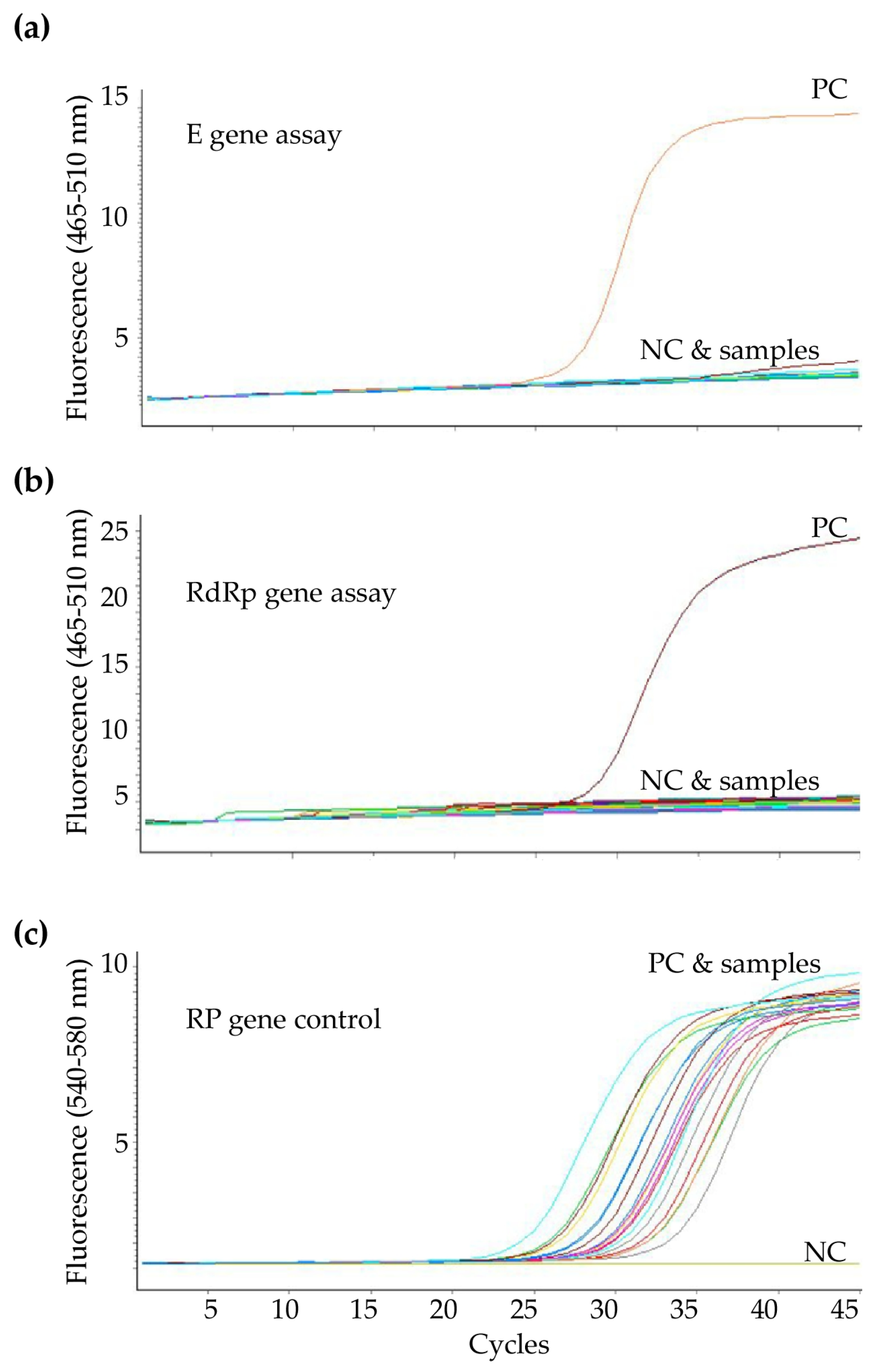 Diagnostics 10 00333 g003 Diagnostics 10 00333 g003