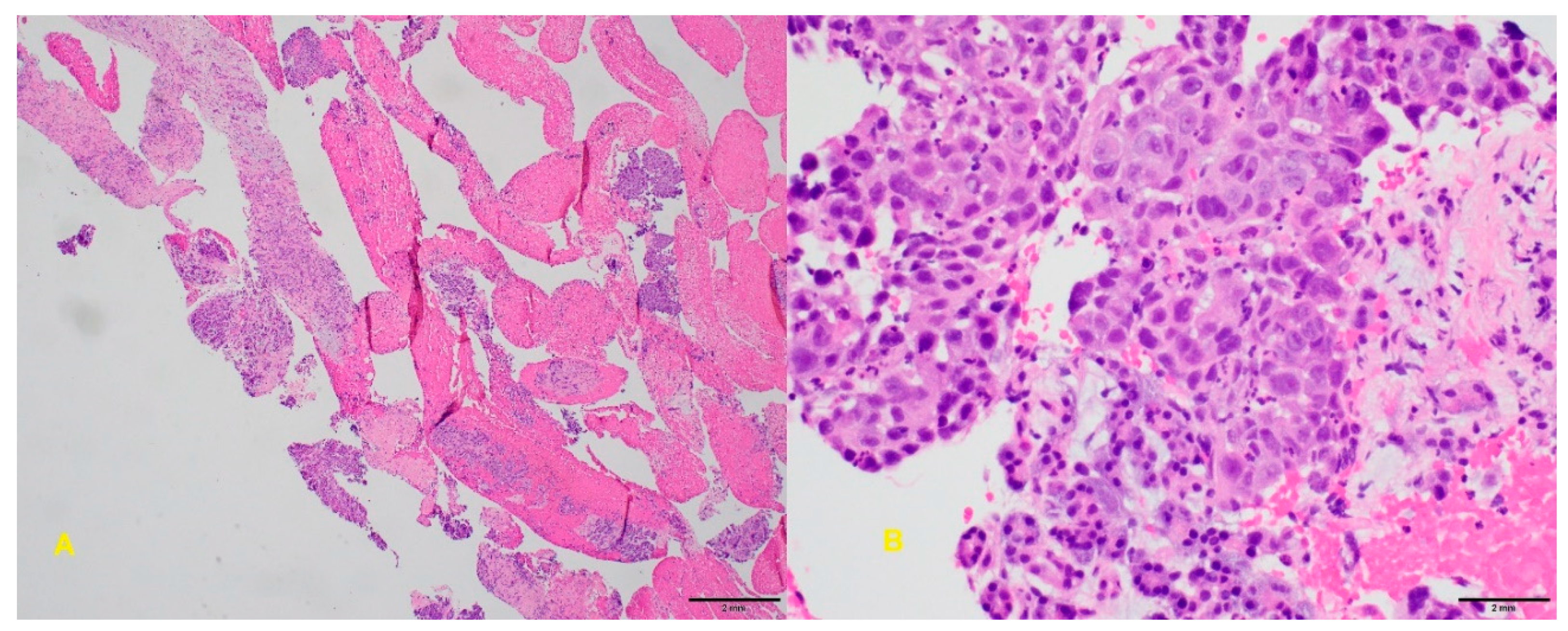 Diagnostics 10 00337 g009