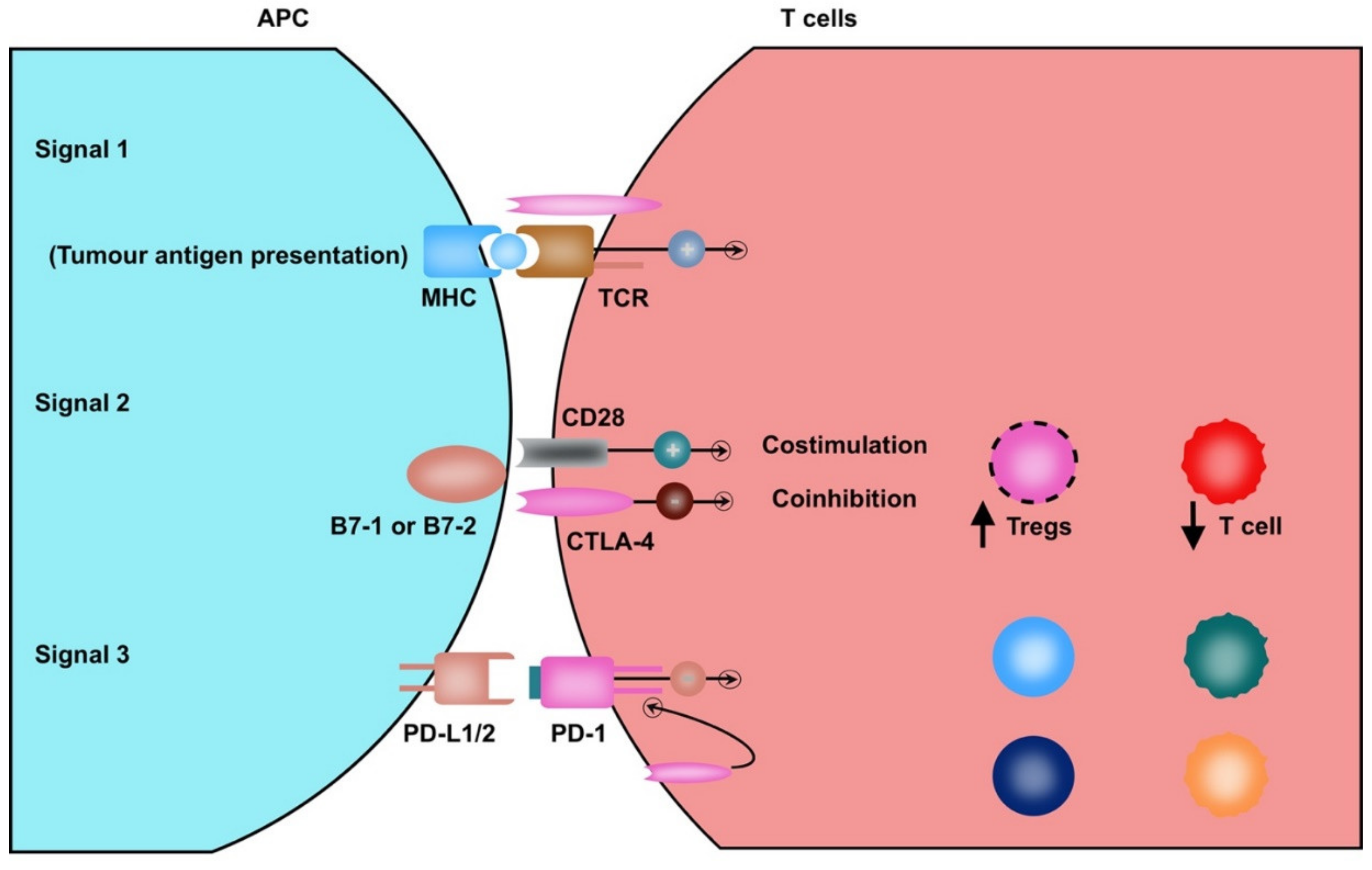 Diagnostics 10 00338 g002
