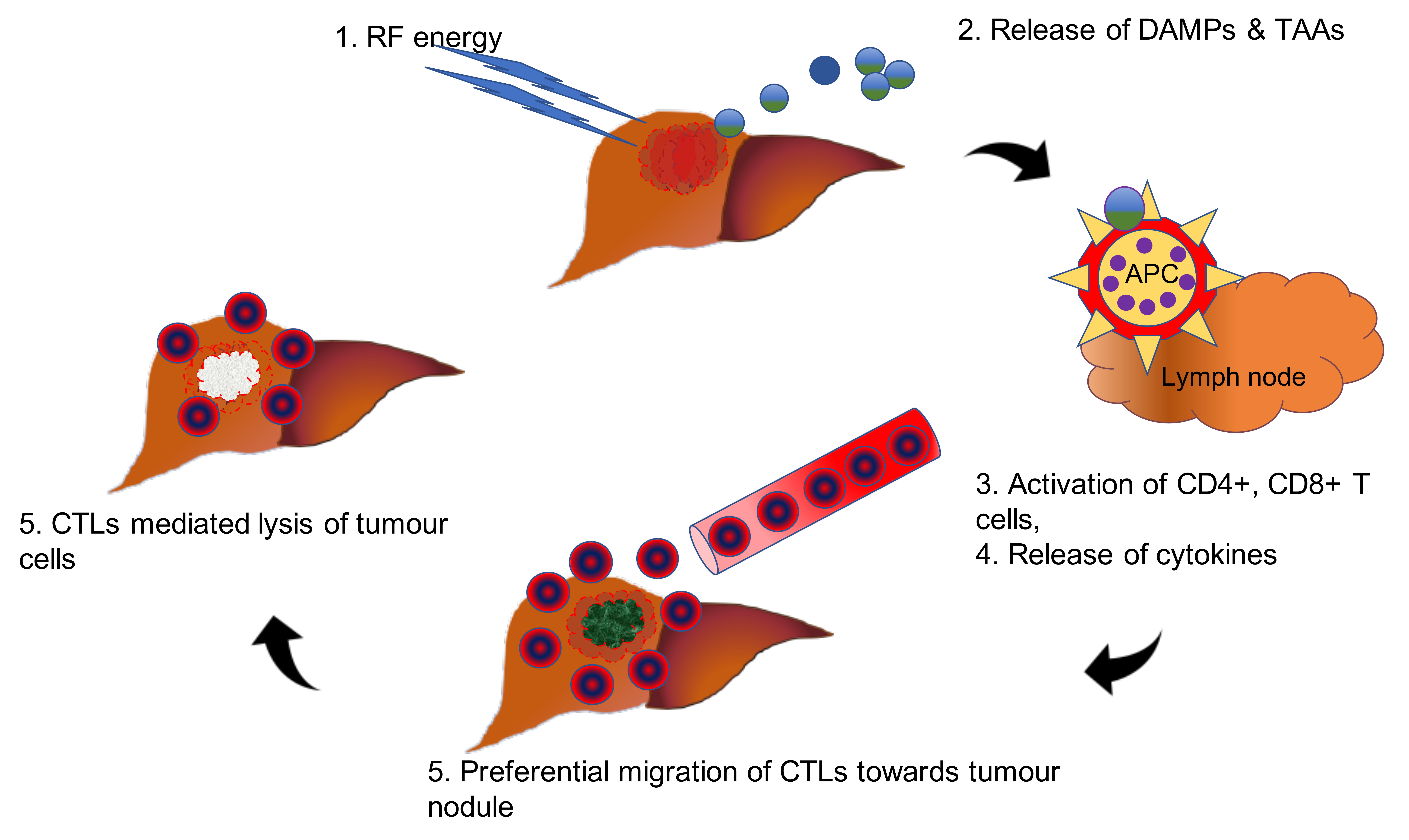 Diagnostics 10 00338 g003