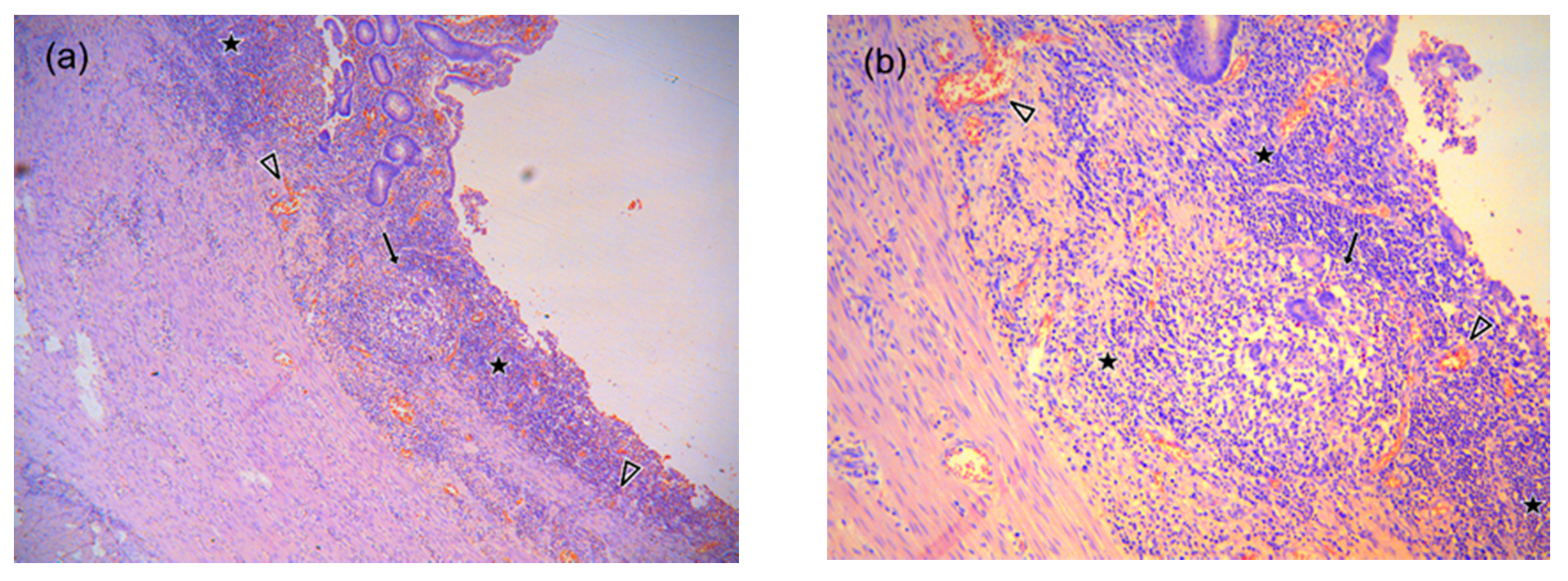 Diagnostics 10 00347 g009 Diagnostics 10 00347 g009