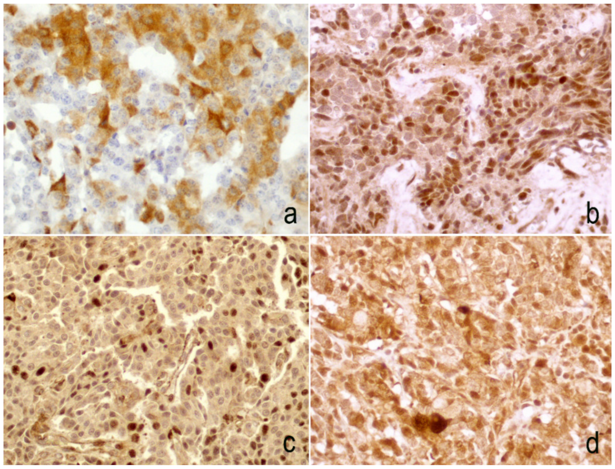 Diagnostics 10 00351 g001 Diagnostics 10 00351 g001