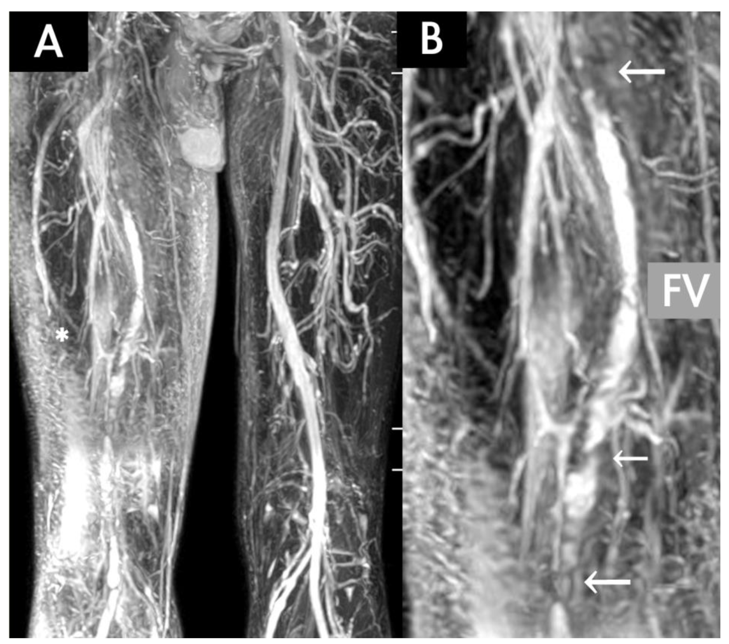 Diagnostics 10 00355 g002 Diagnostics 10 00355 g002