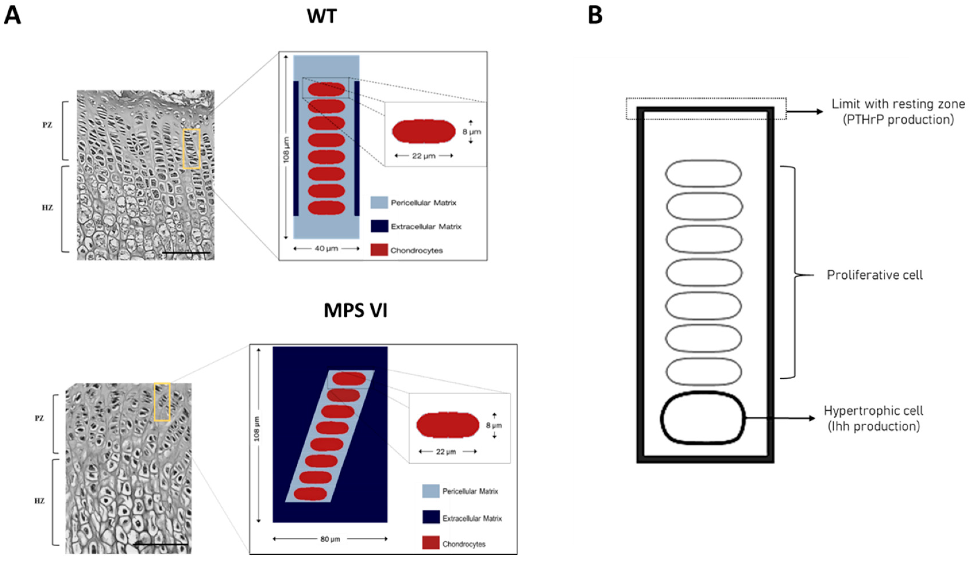 Diagnostics 10 00360 g002 Diagnostics 10 00360 g002