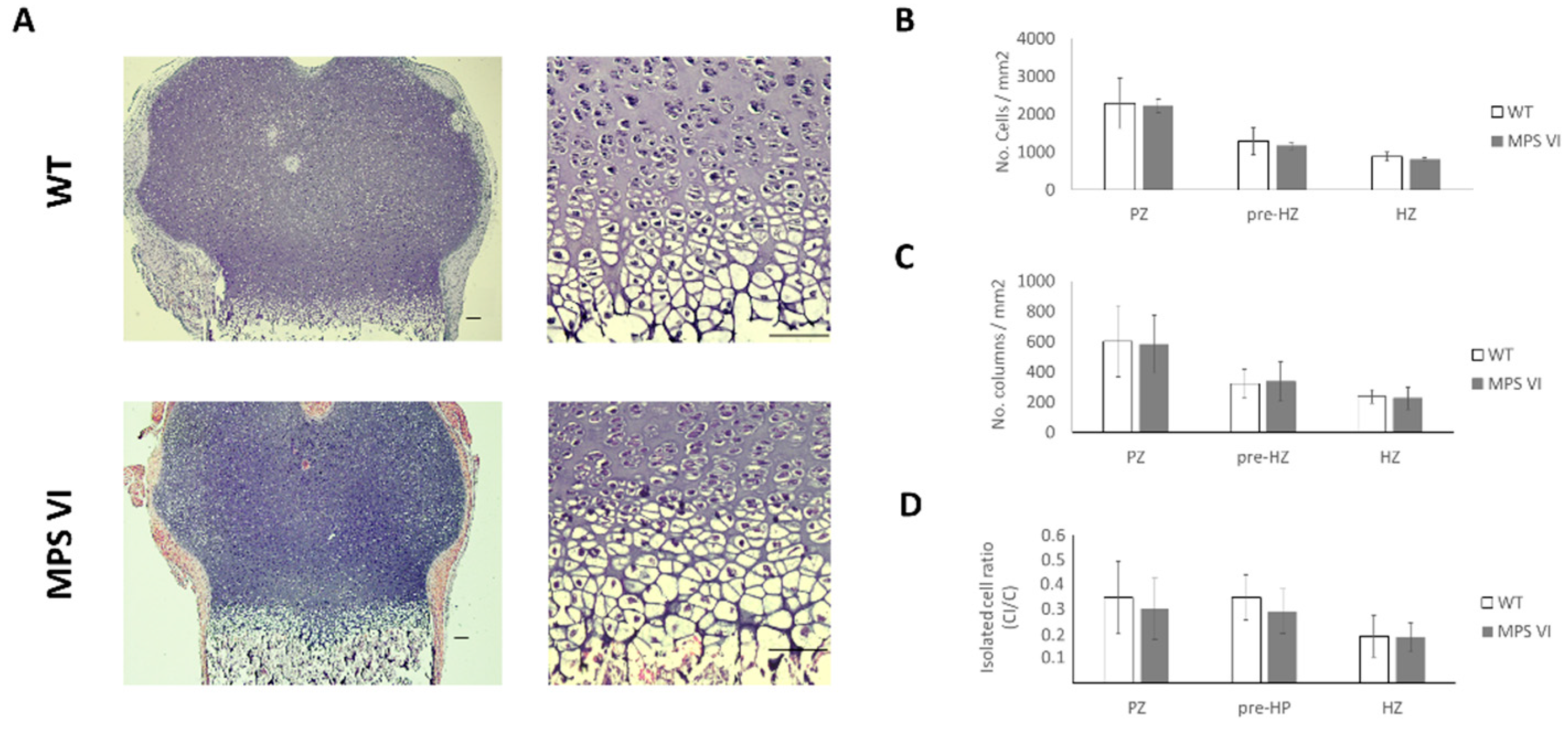 Diagnostics 10 00360 g003 Diagnostics 10 00360 g003