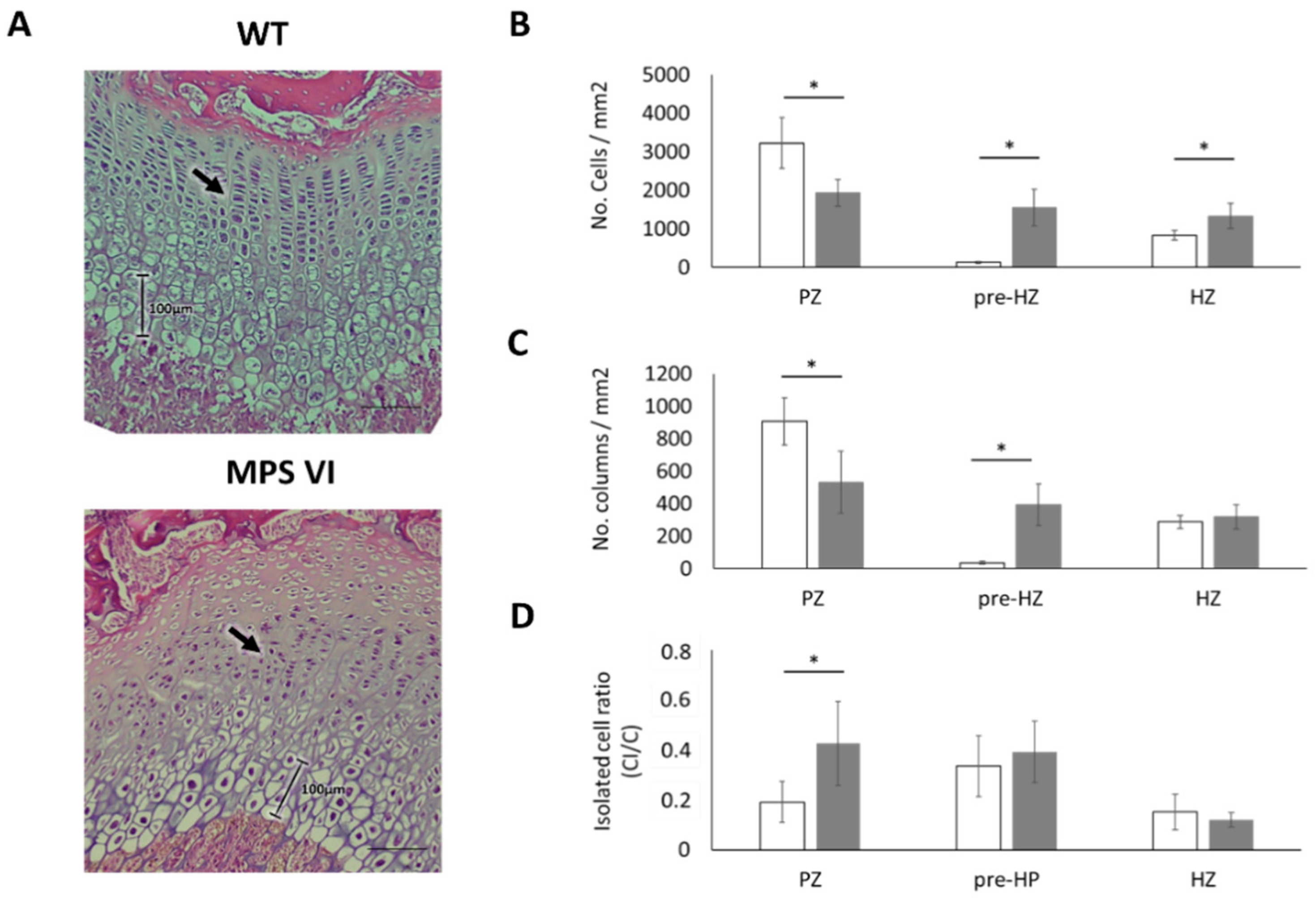 Diagnostics 10 00360 g004 Diagnostics 10 00360 g004