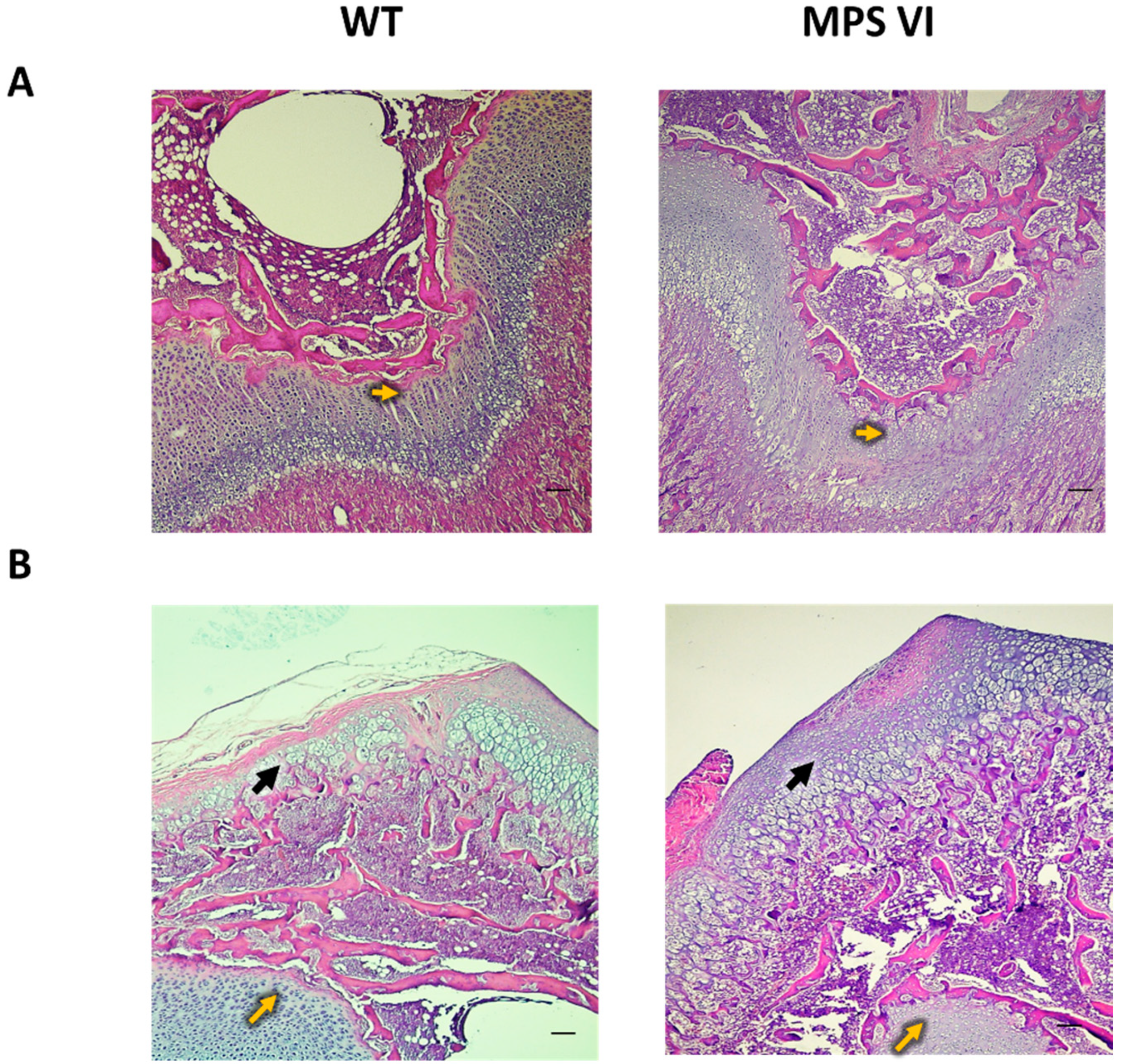 Diagnostics 10 00360 g005 Diagnostics 10 00360 g005