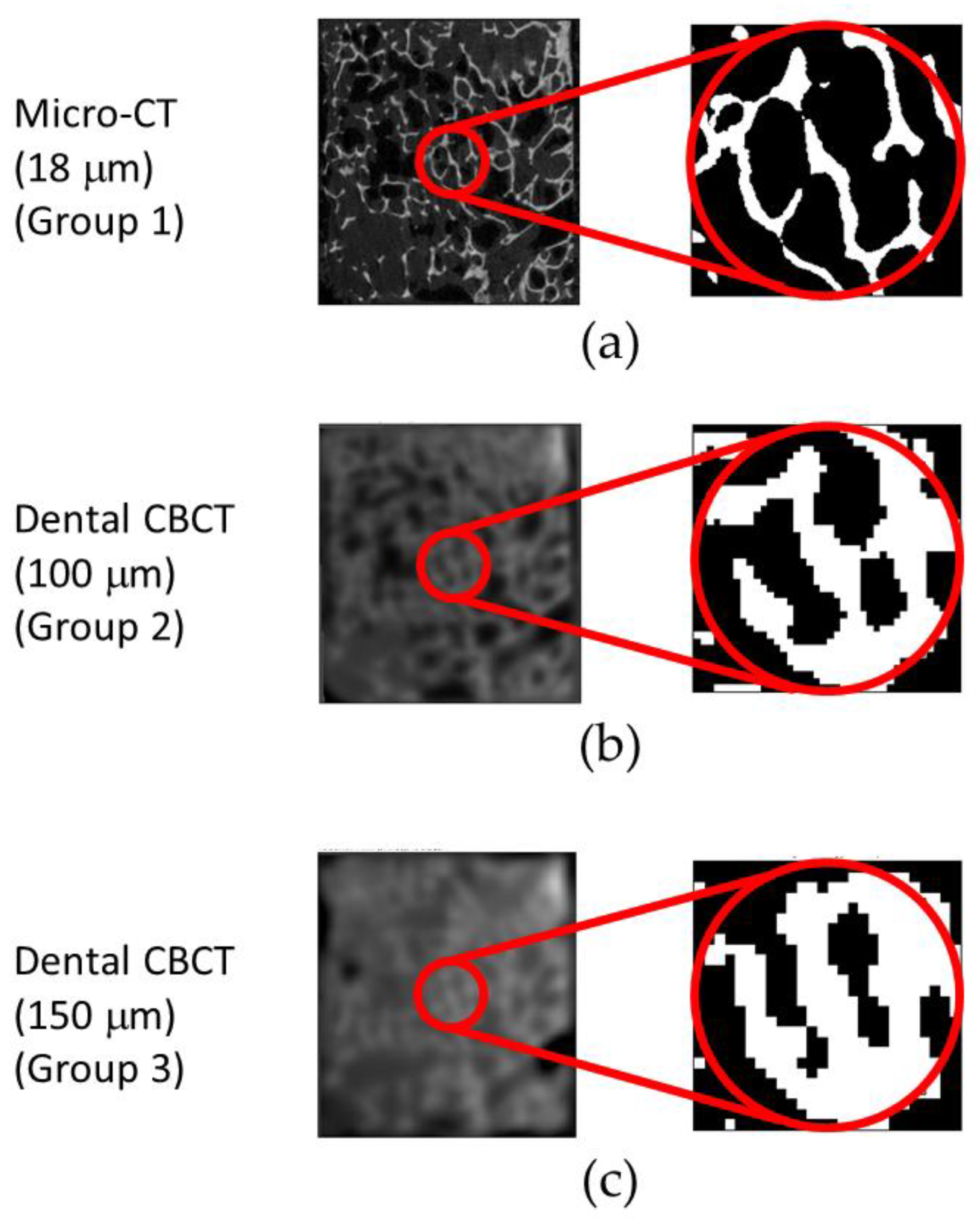 Diagnostics 10 00368 g001