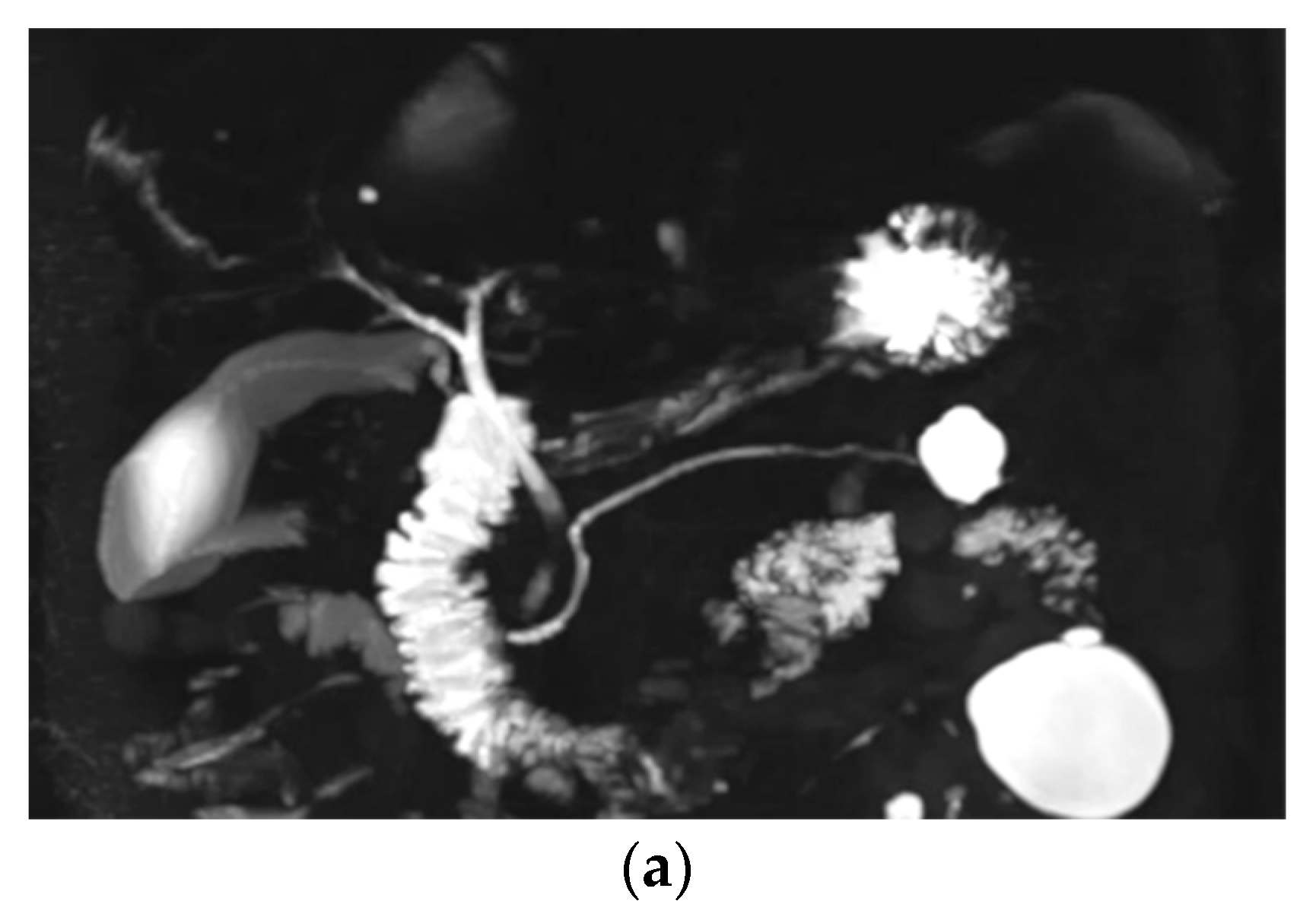 Diagnostics 10 00376 g002a