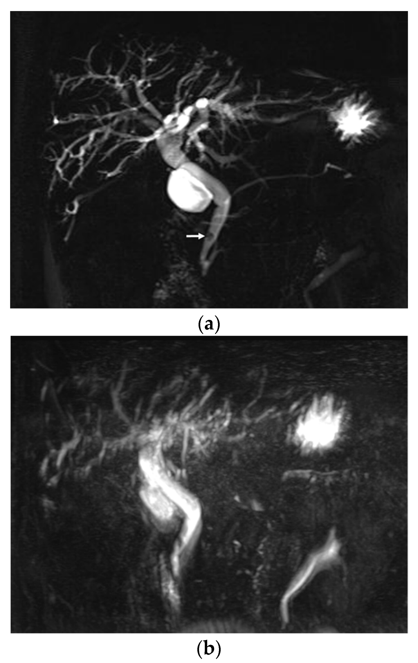 Diagnostics 10 00376 g003a