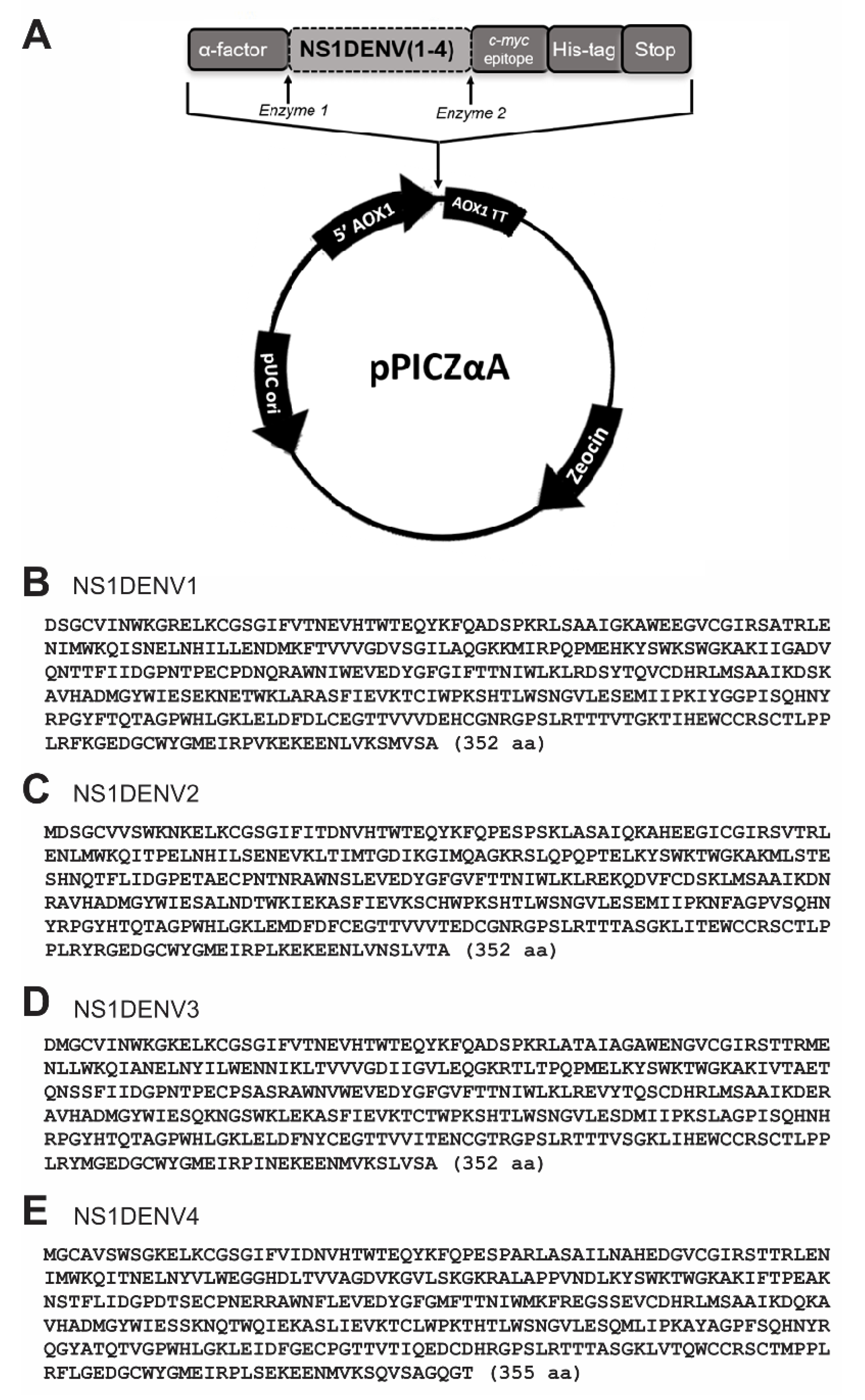 Diagnostics 10 00379 g001 Diagnostics 10 00379 g001