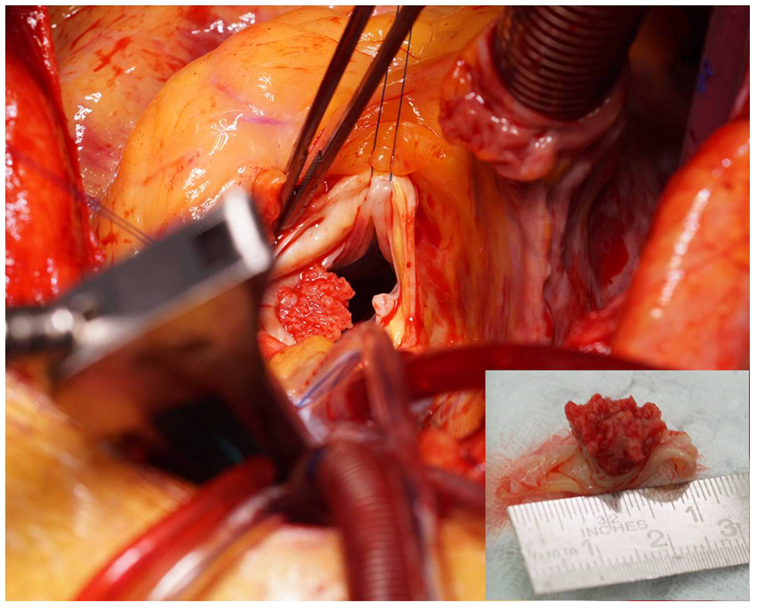 Diagnostics 10 00384 g003 Diagnostics 10 00384 g003