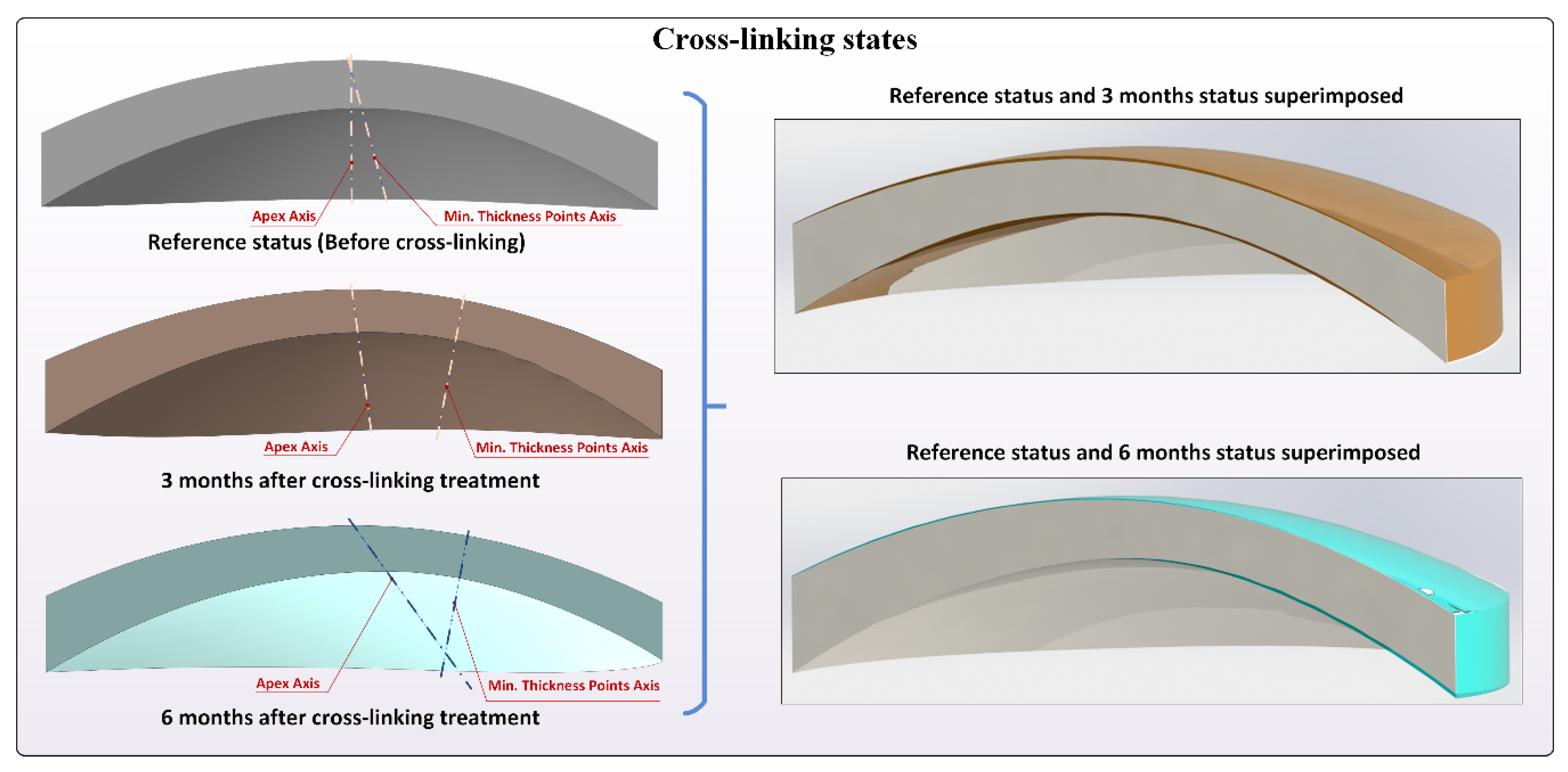 Diagnostics 10 00397 g002 Diagnostics 10 00397 g002