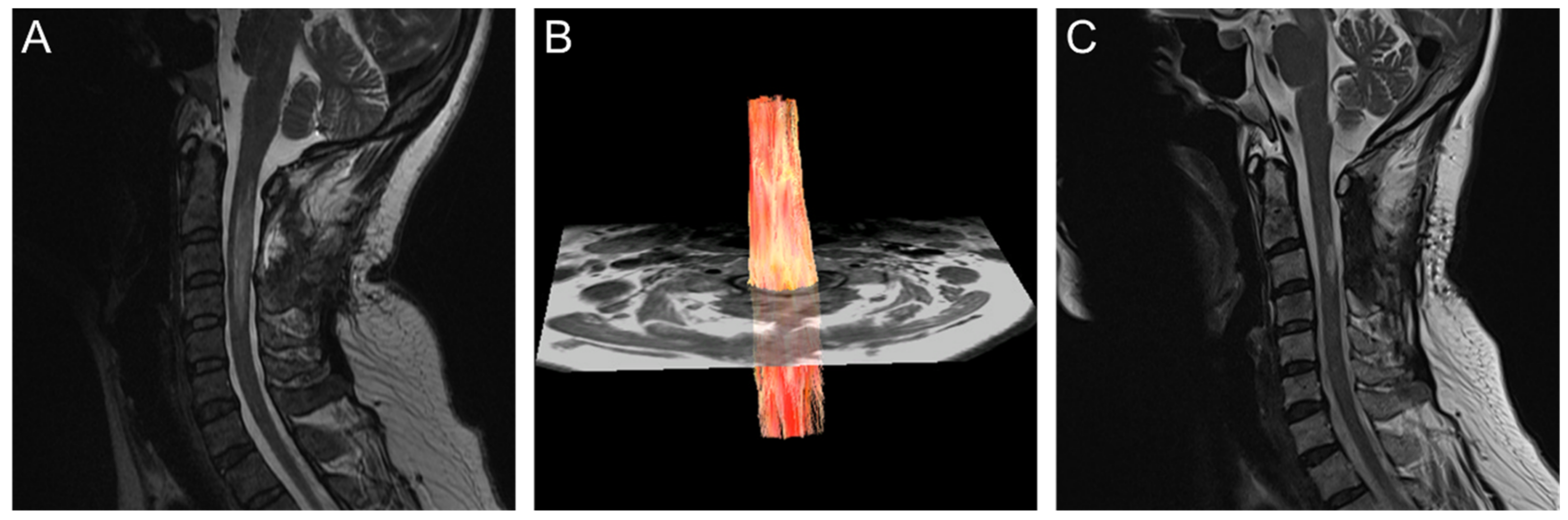 Diagnostics 10 00401 g002 Diagnostics 10 00401 g002