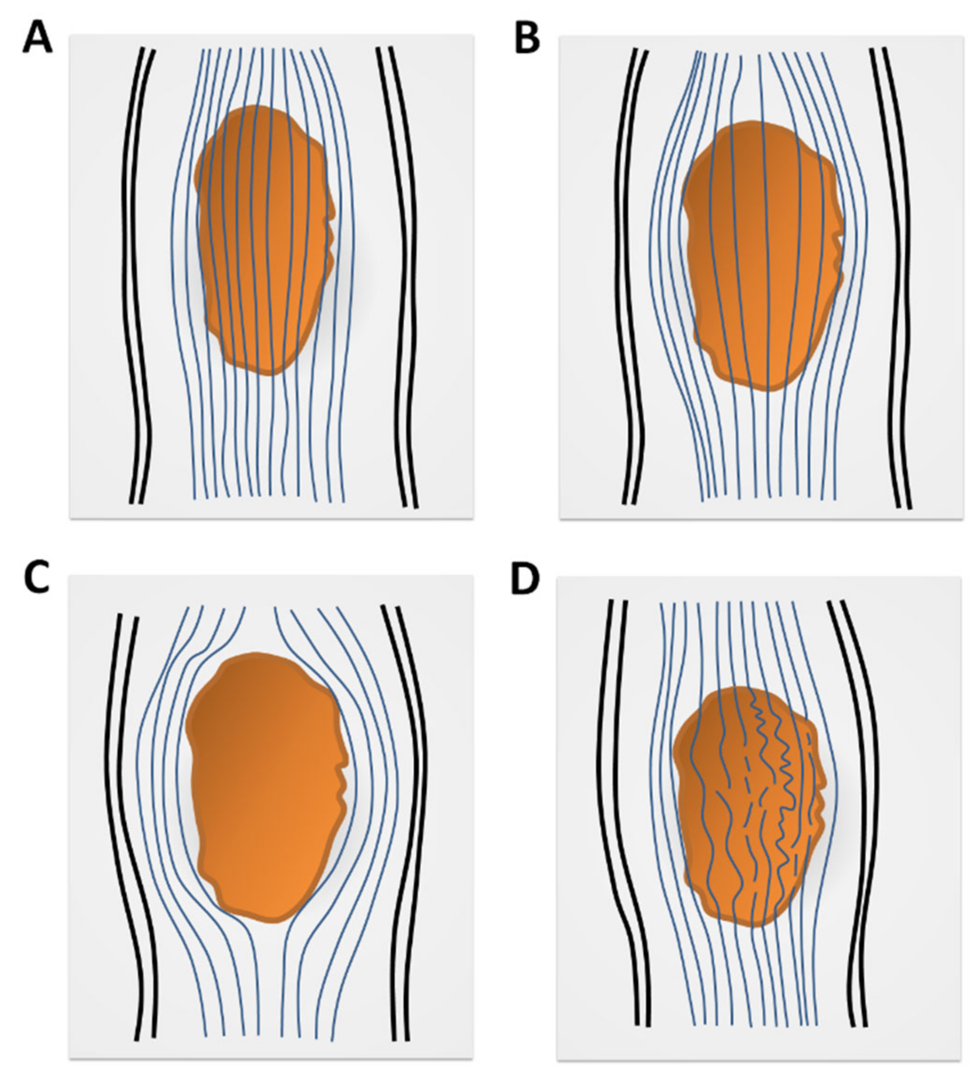 Diagnostics 10 00401 g004 Diagnostics 10 00401 g004