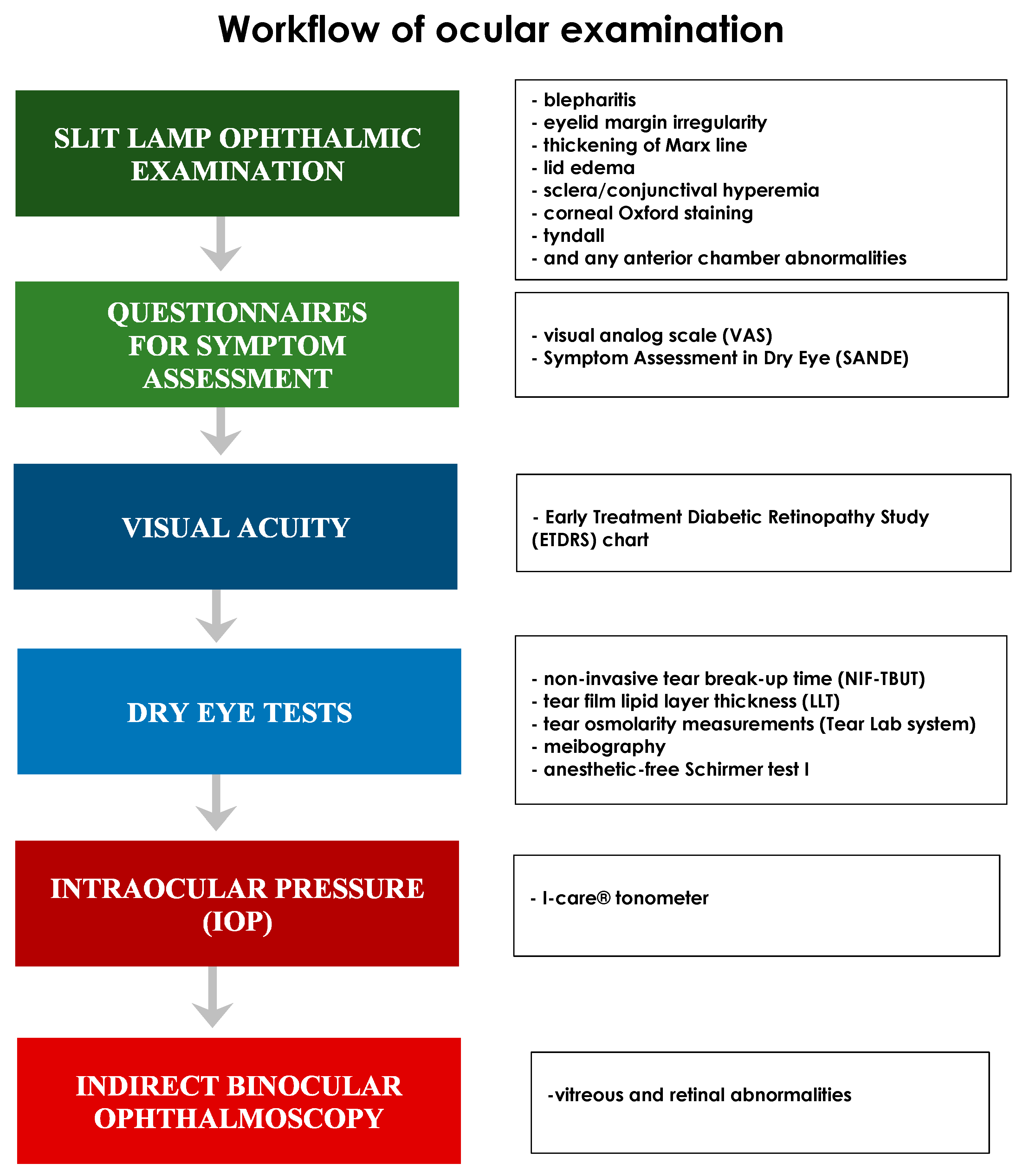 Diagnostics 10 00404 g001