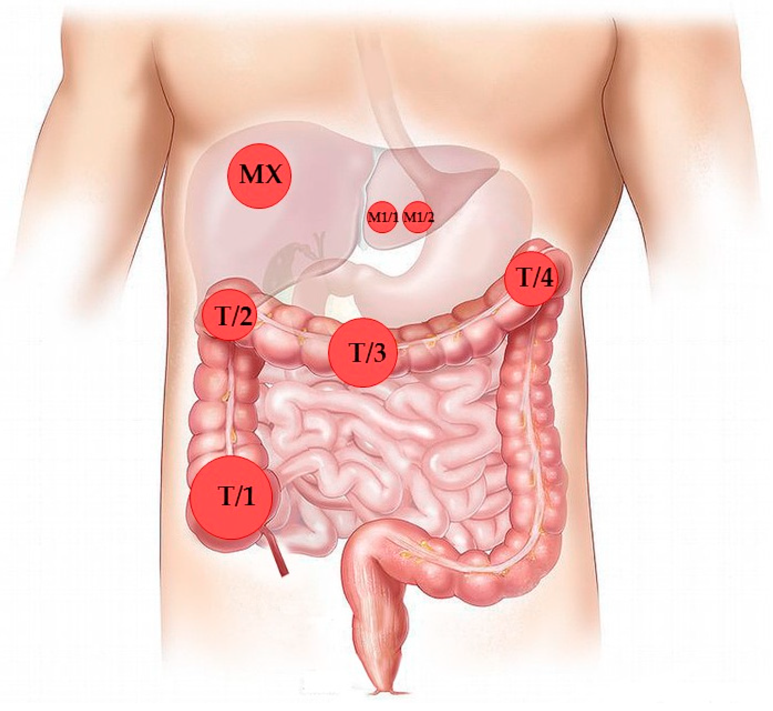 Diagnostics 10 00407 g001