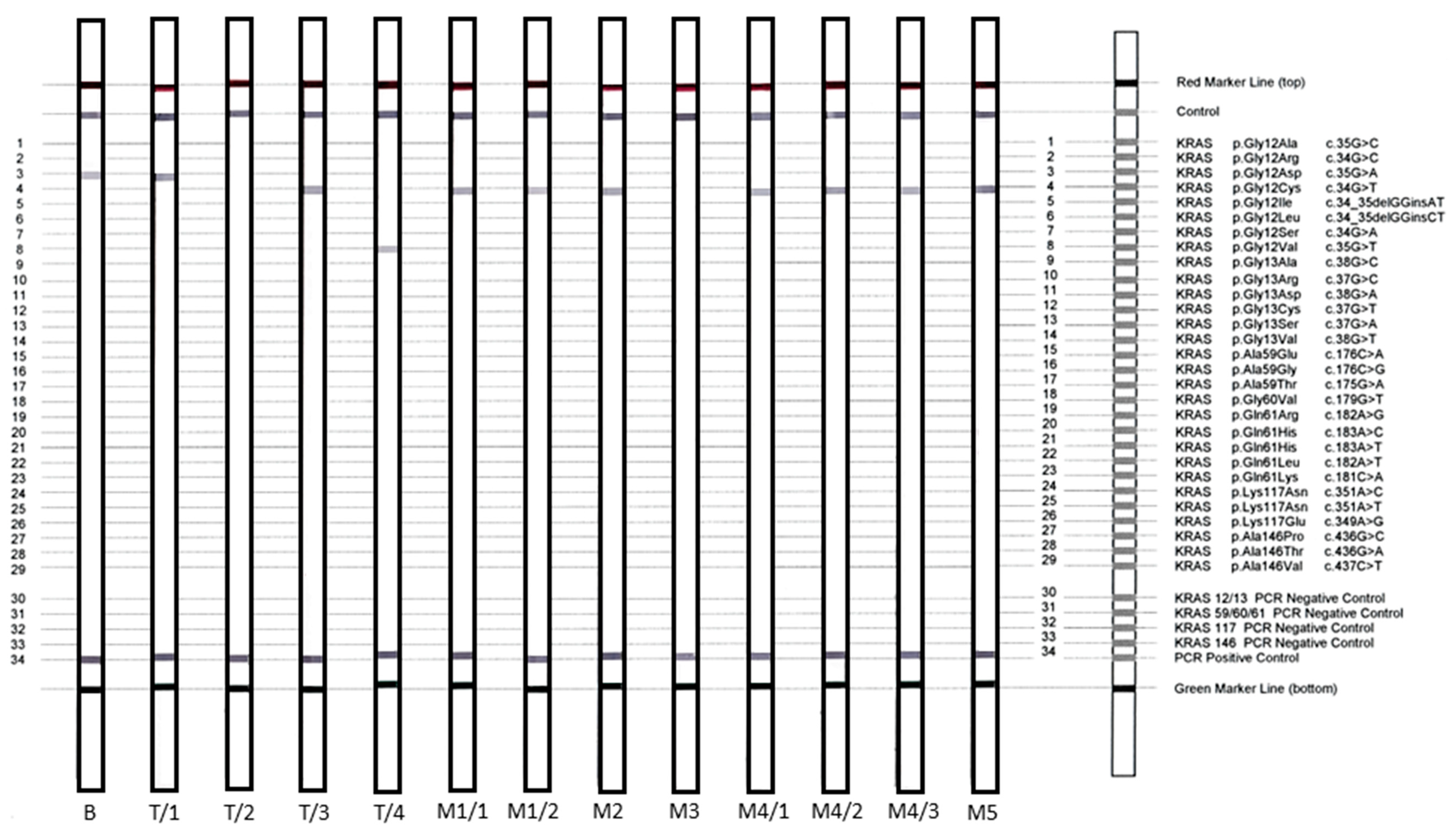 Diagnostics 10 00407 g002