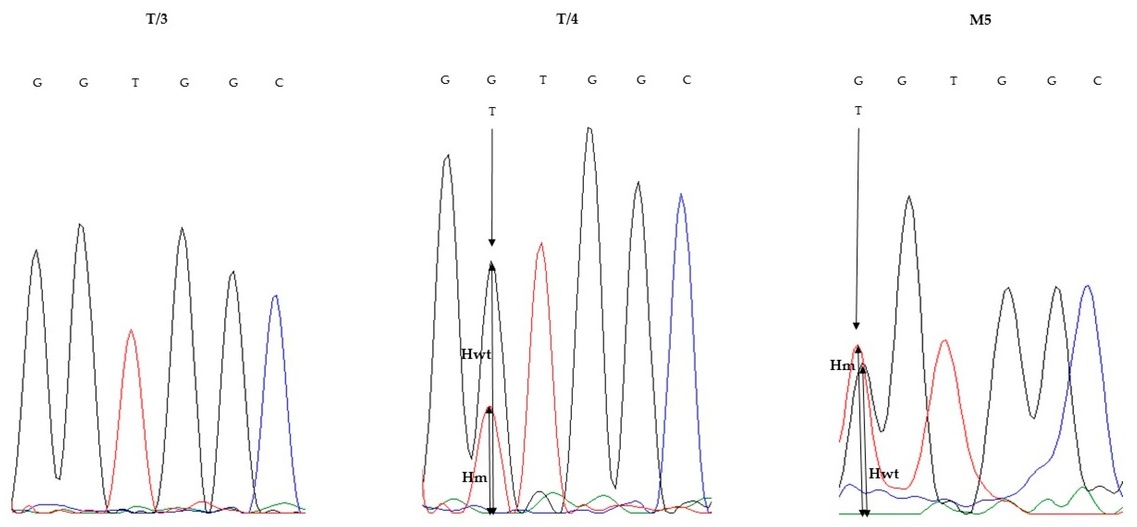 Diagnostics 10 00407 g003