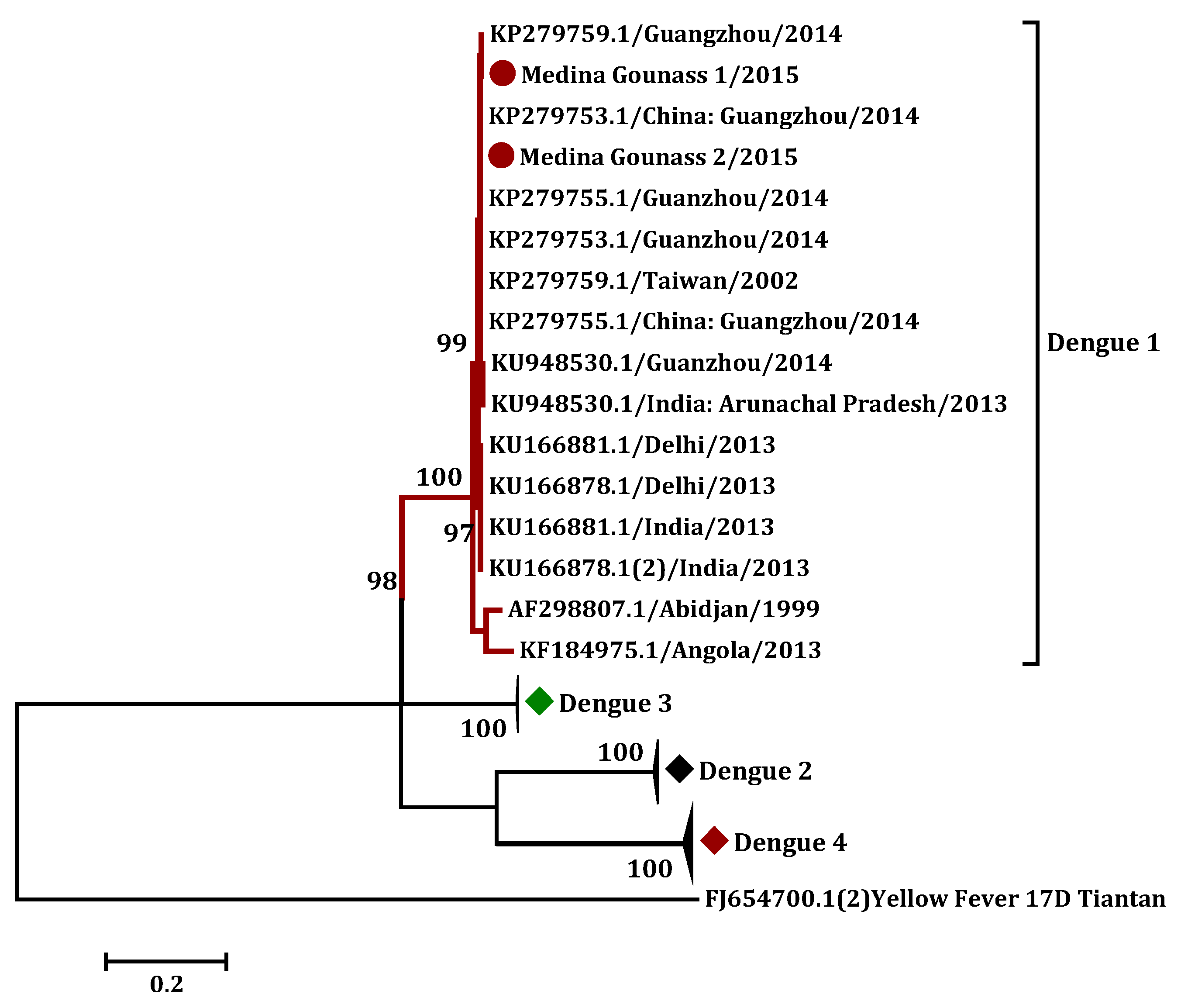 Diagnostics 10 00408 g004