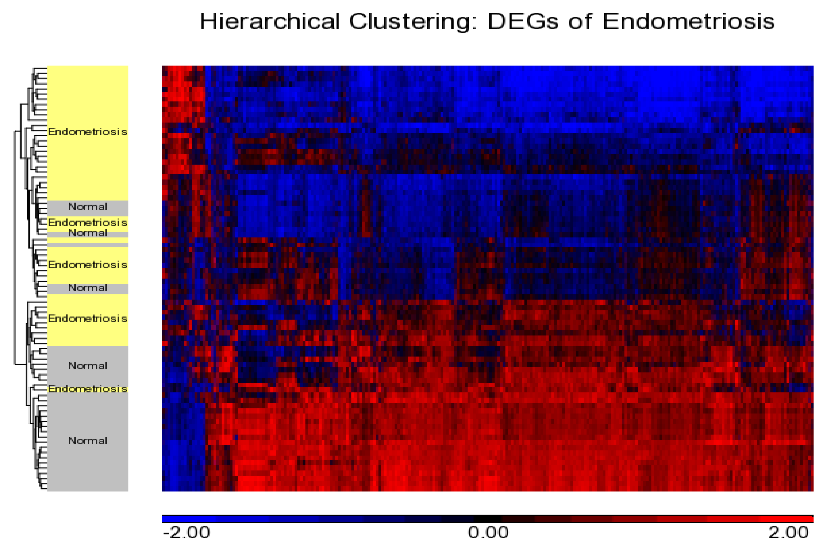 Diagnostics 10 00416 g002 Diagnostics 10 00416 g002