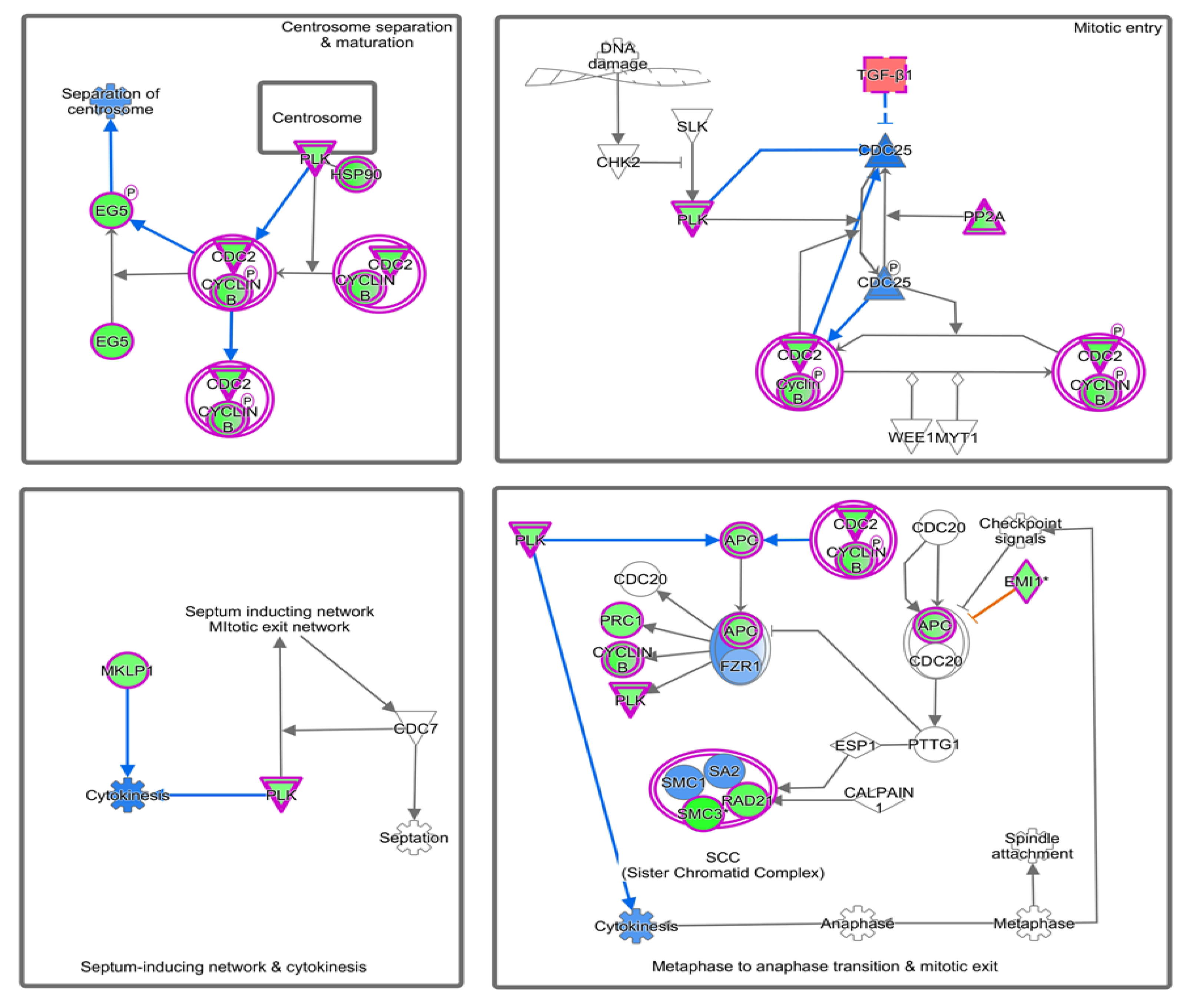 Diagnostics 10 00416 g004 Diagnostics 10 00416 g004