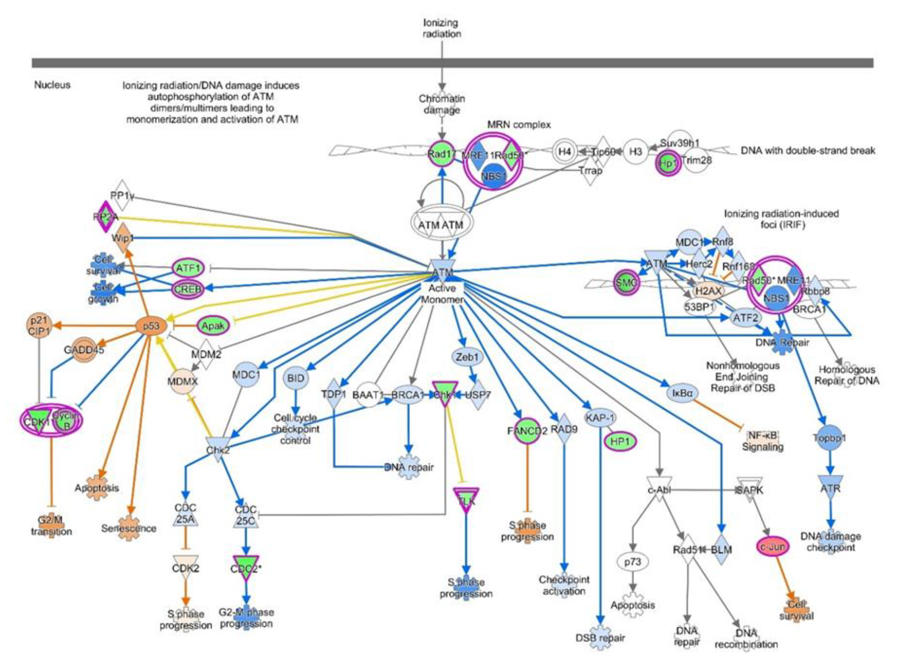 Diagnostics 10 00416 g005 Diagnostics 10 00416 g005