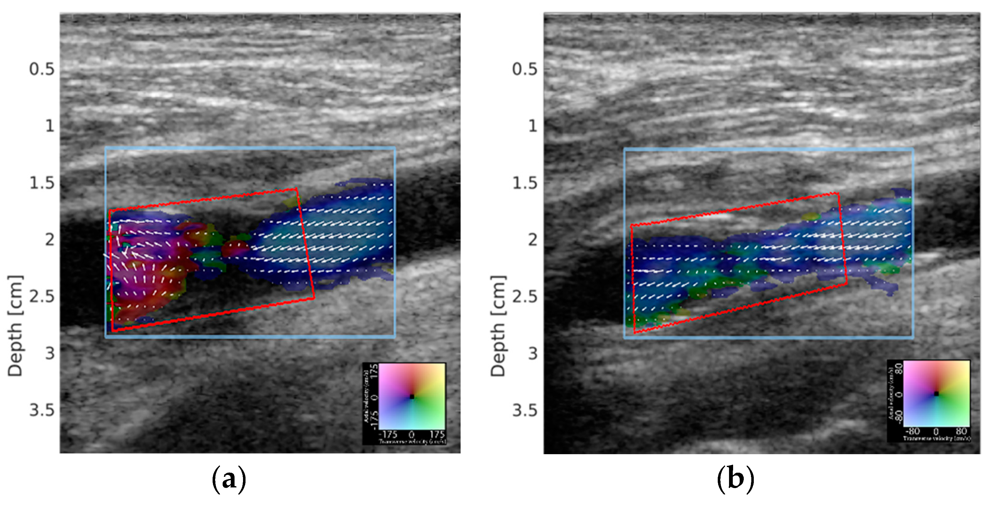 Diagnostics 10 00420 g001 Diagnostics 10 00420 g001