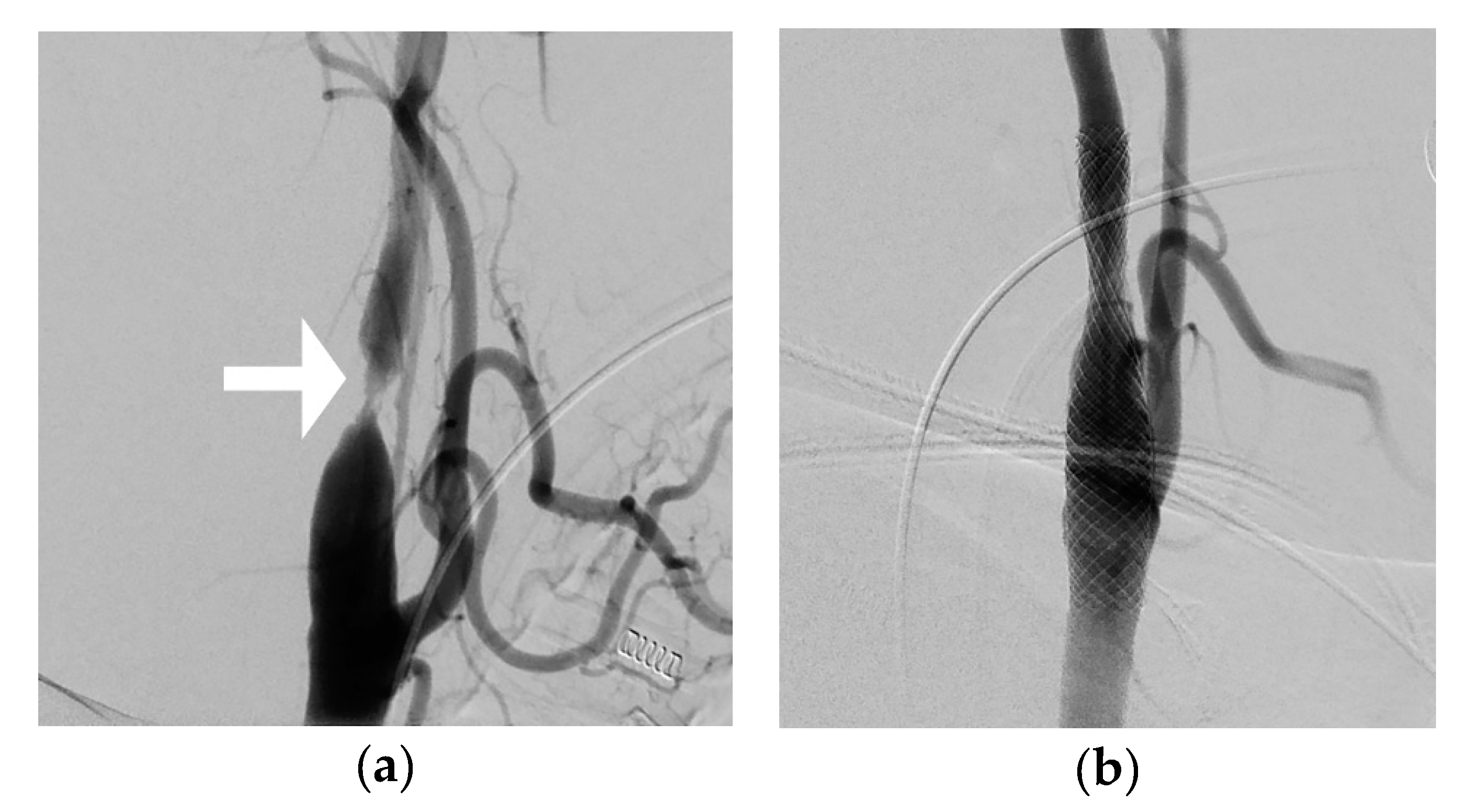Diagnostics 10 00420 g003 Diagnostics 10 00420 g003