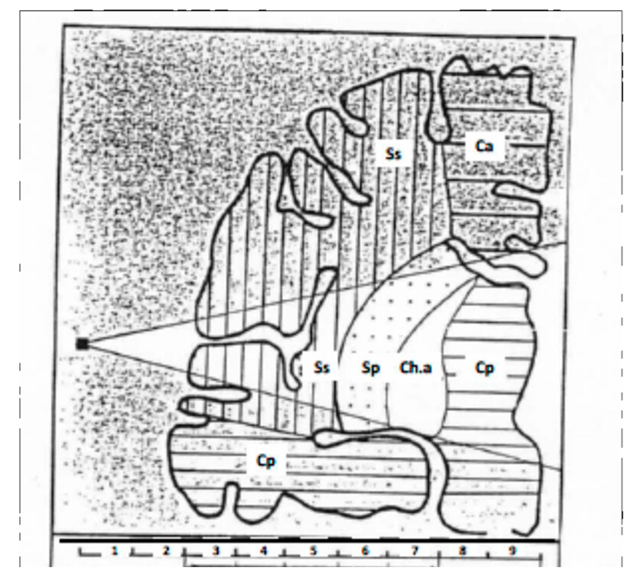 Diagnostics 10 00427 g003 Diagnostics 10 00427 g003
