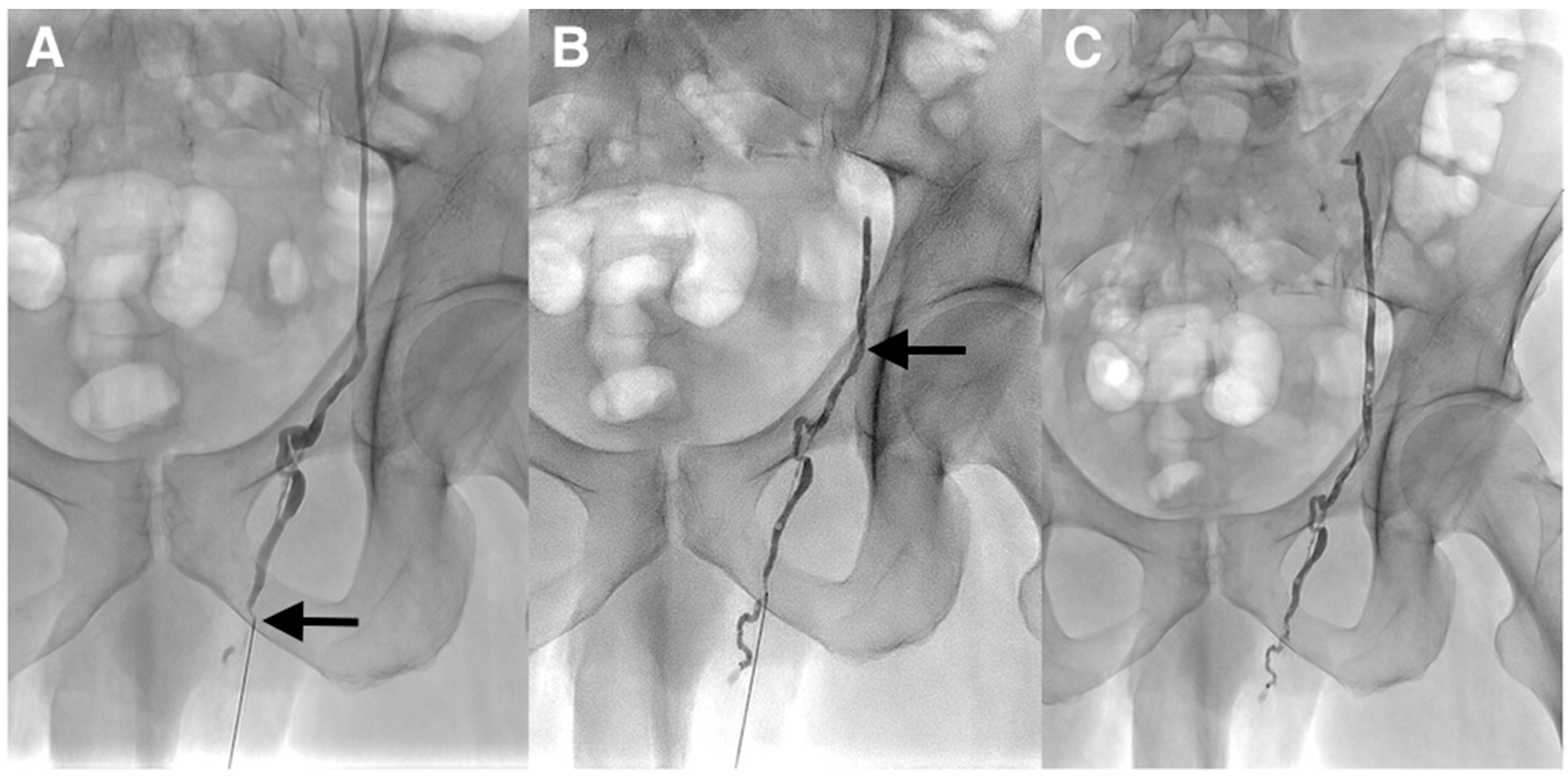 Diagnostics 10 00432 g003 550