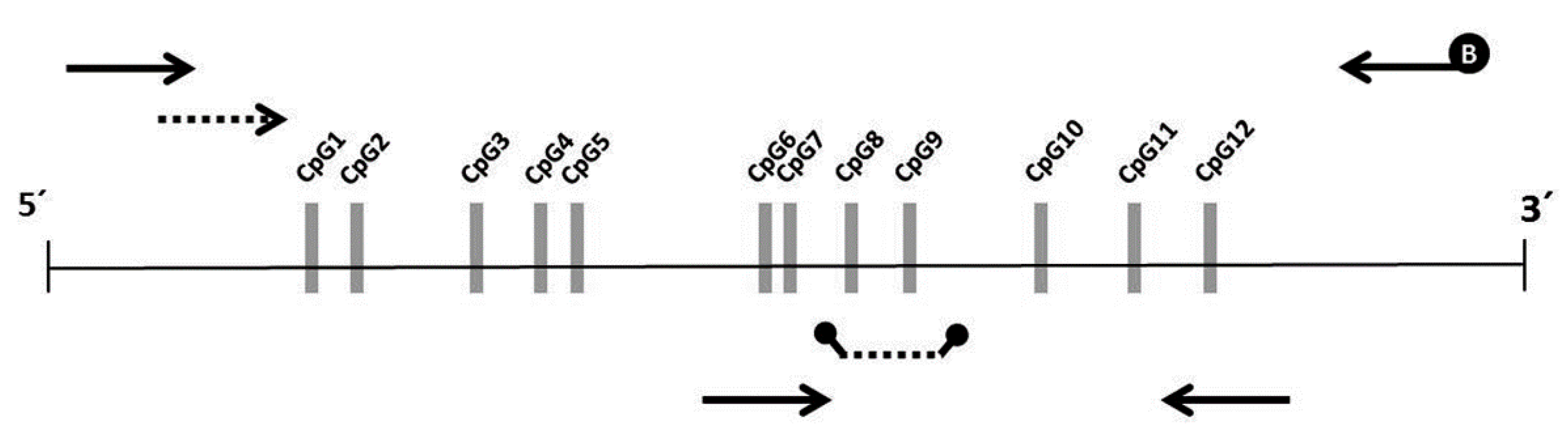 Diagnostics 10 00437 g002