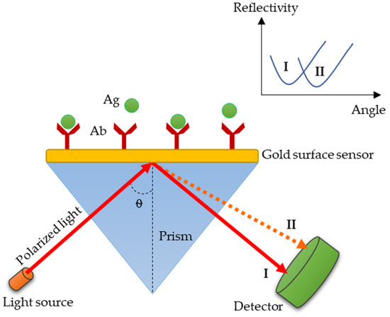 Diagnostics Free Full Text Laboratory Diagnosis Of Paratyphoid Fever Opportunity Of Surface Plasmon Resonance Html Diagnostics Free Full Text Laboratory Diagnosis Of Paratyphoid Fever Opportunity Of Surface Plasmon Resonance Html