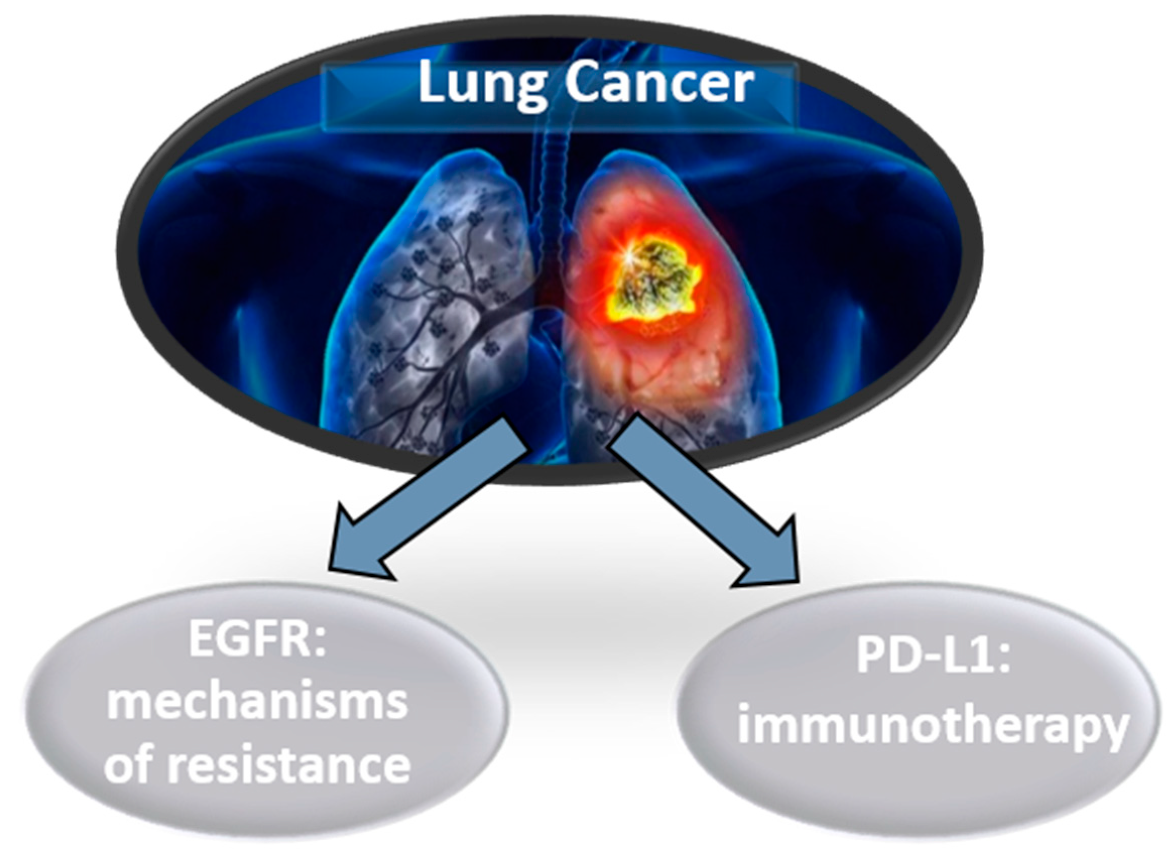 Diagnostics 10 00443 g003 Diagnostics 10 00443 g003