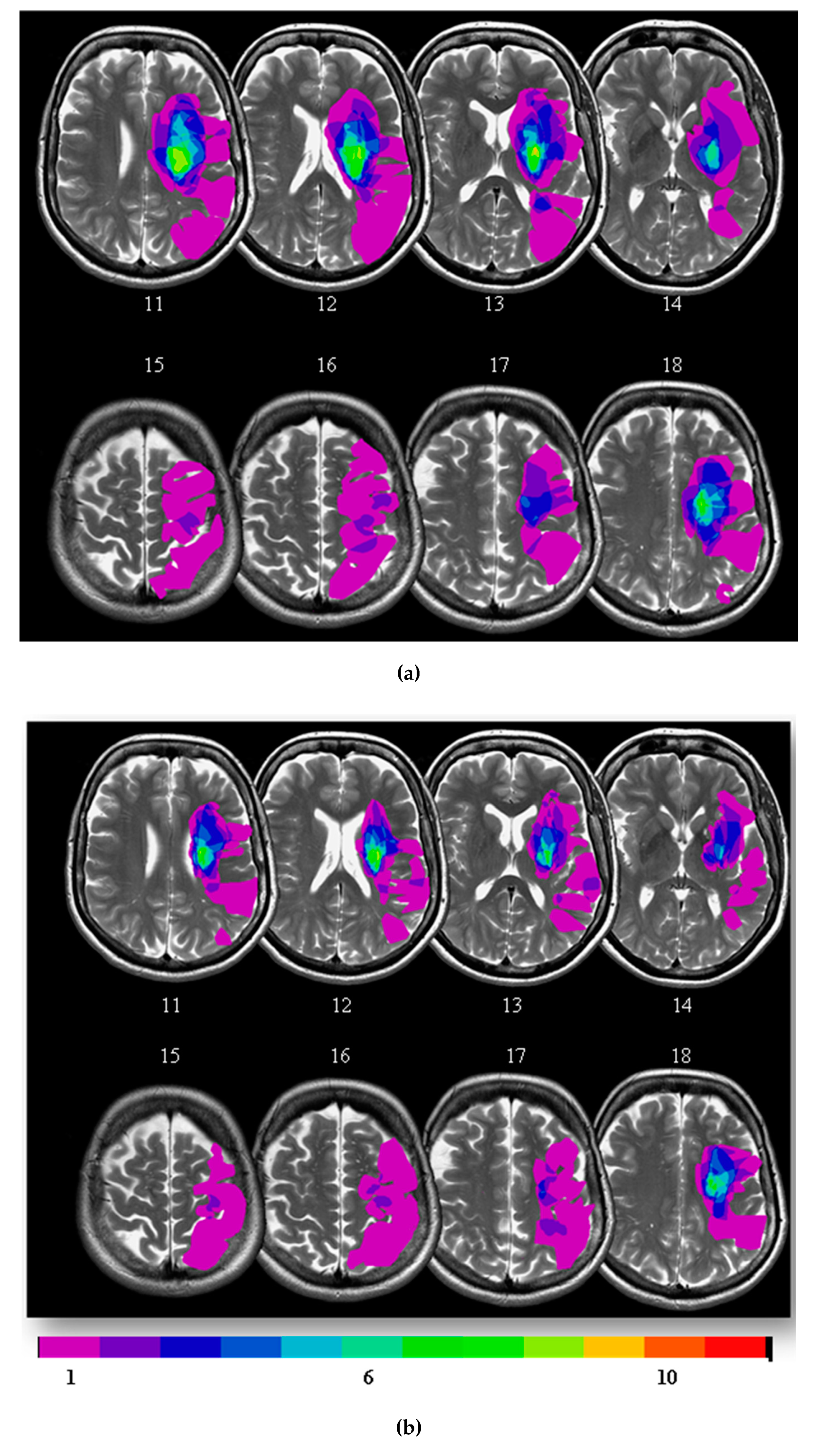 Diagnostics 10 00482 g001