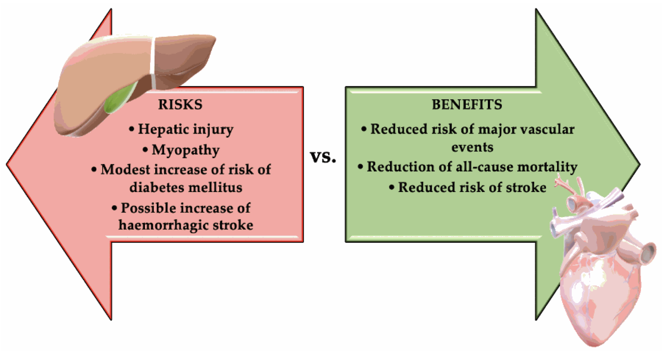 PDF) Statins, Fibrates and Myopathy: Pathophysiological Mechanism, Risk  Factors and Laboratory Markers