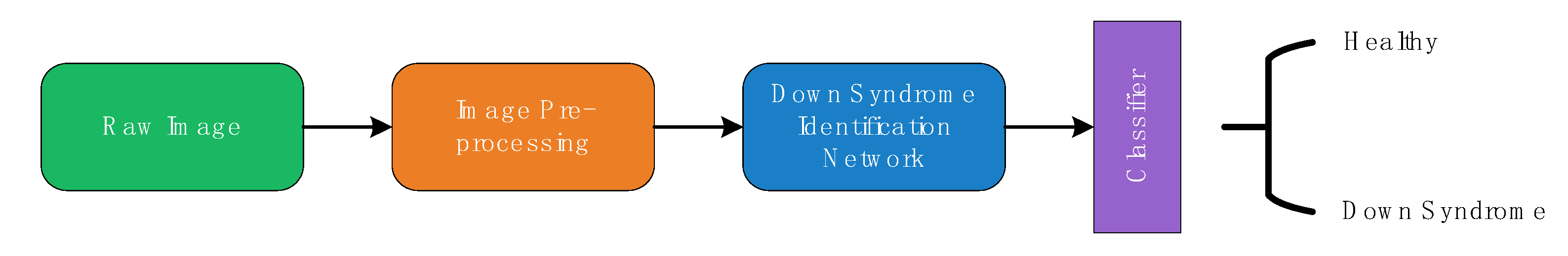 Diagnostics 10 00487 g001