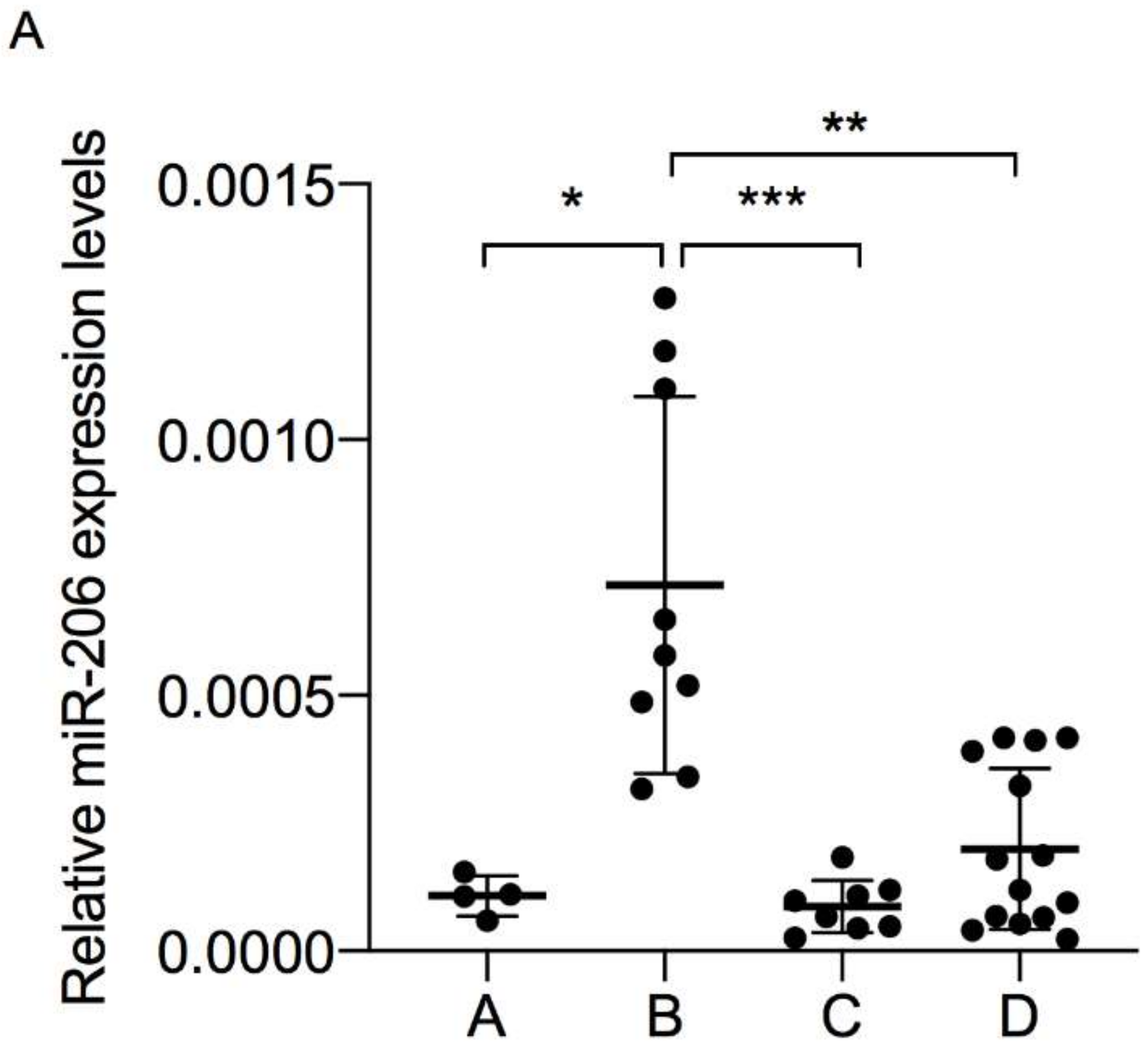 Diagnostics 10 00502 g002a