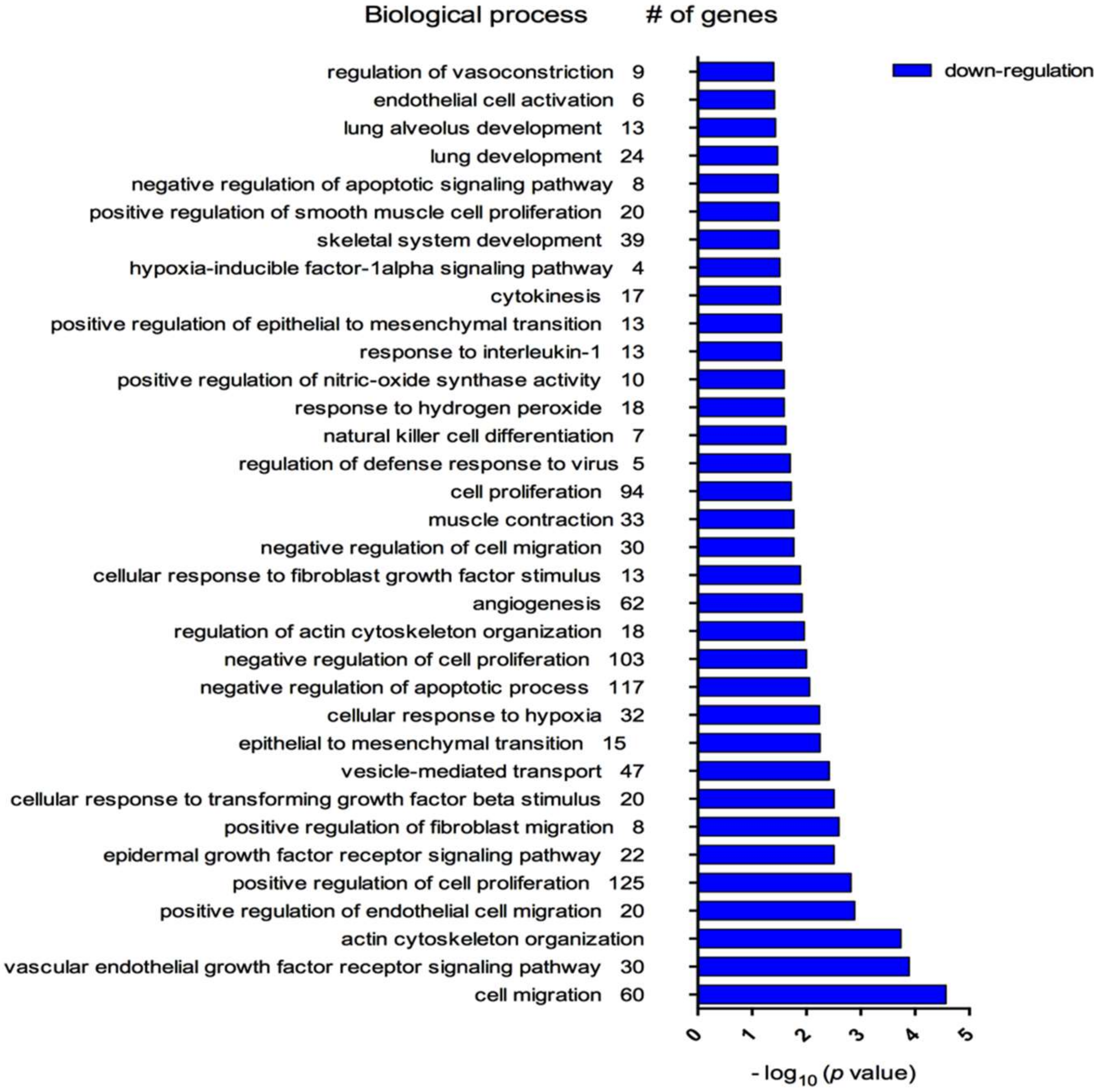 Diagnostics 10 00502 g003