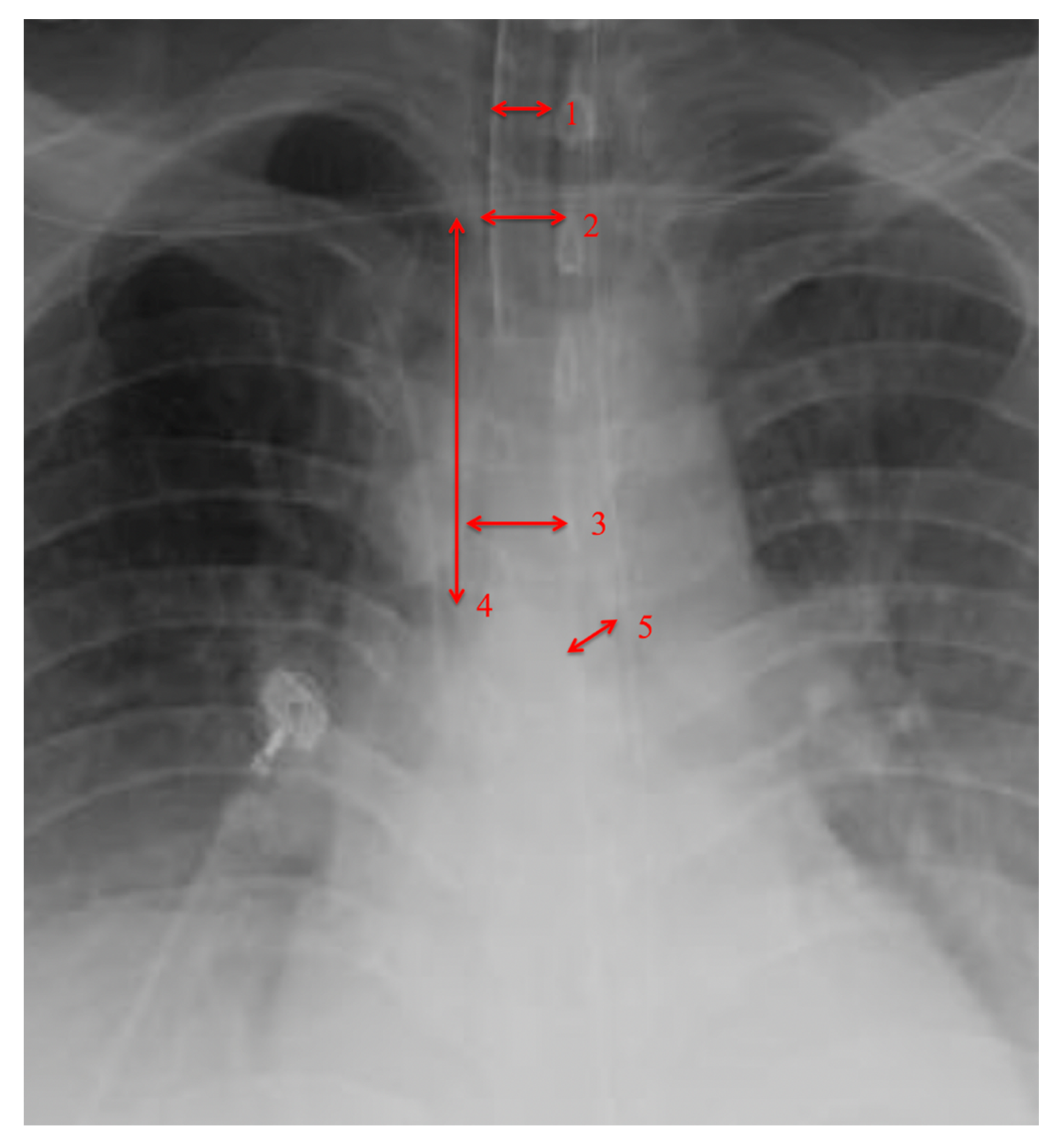 Diagnostics 10 00506 g002 Diagnostics 10 00506 g002