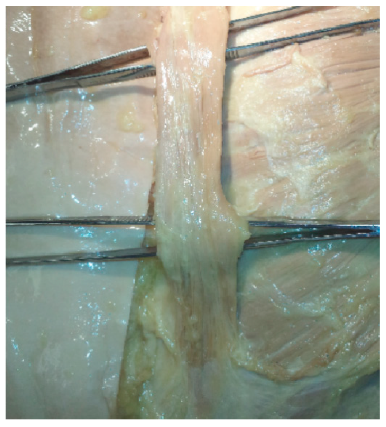 Diagnostics 10 00508 g002