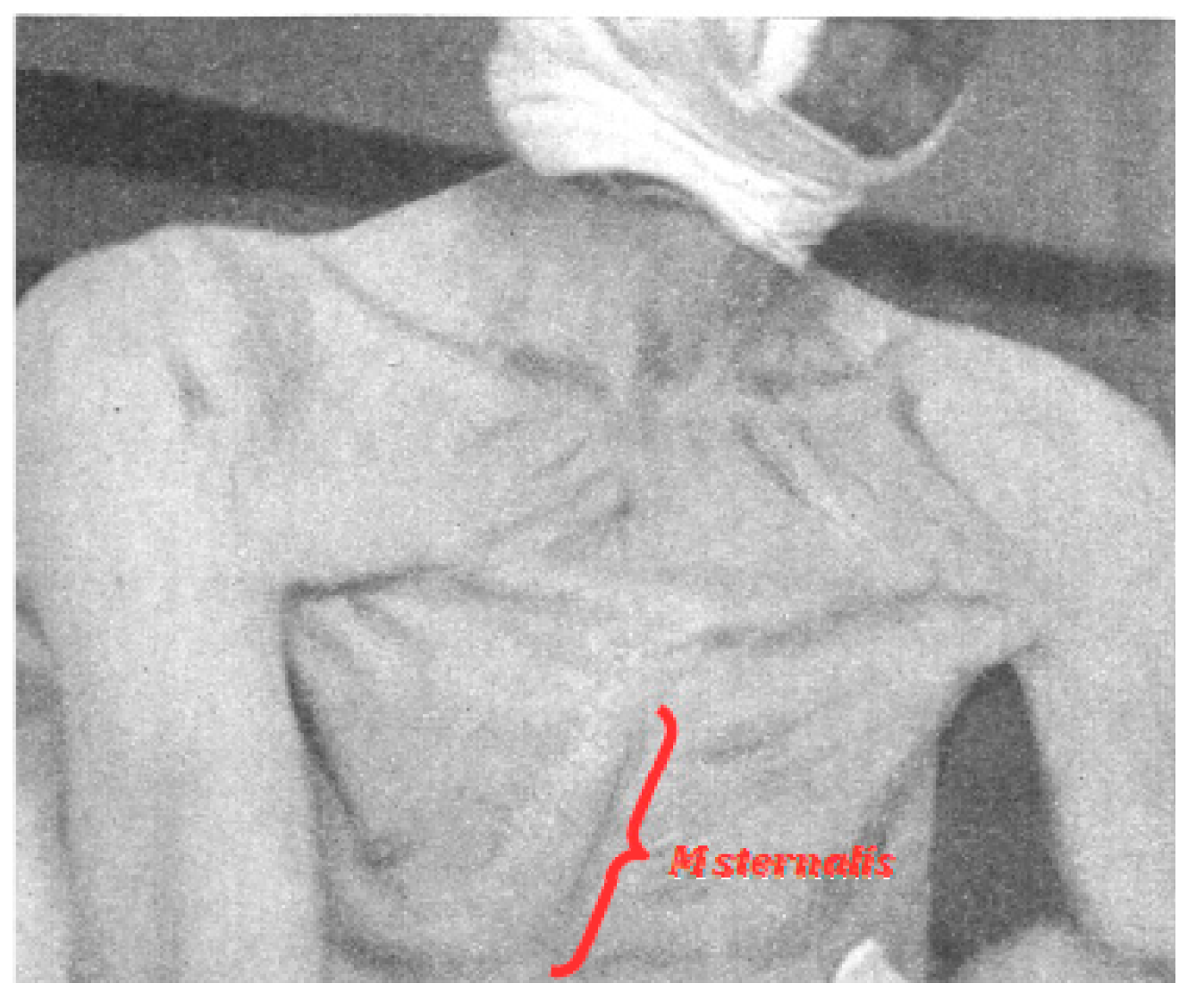 Diagnostics 10 00508 g003